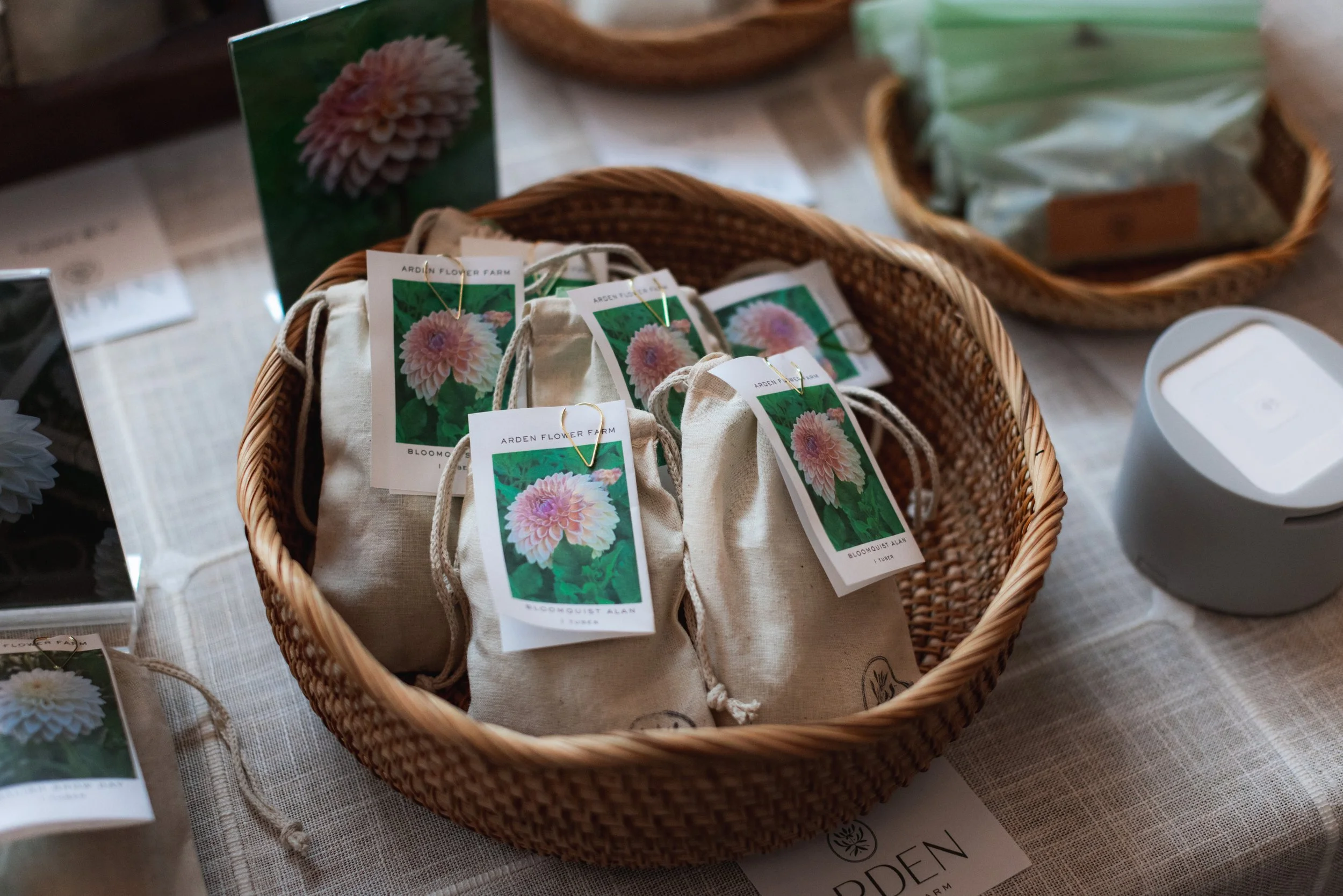 Bloom BTV 2025 WEB-122.jpg