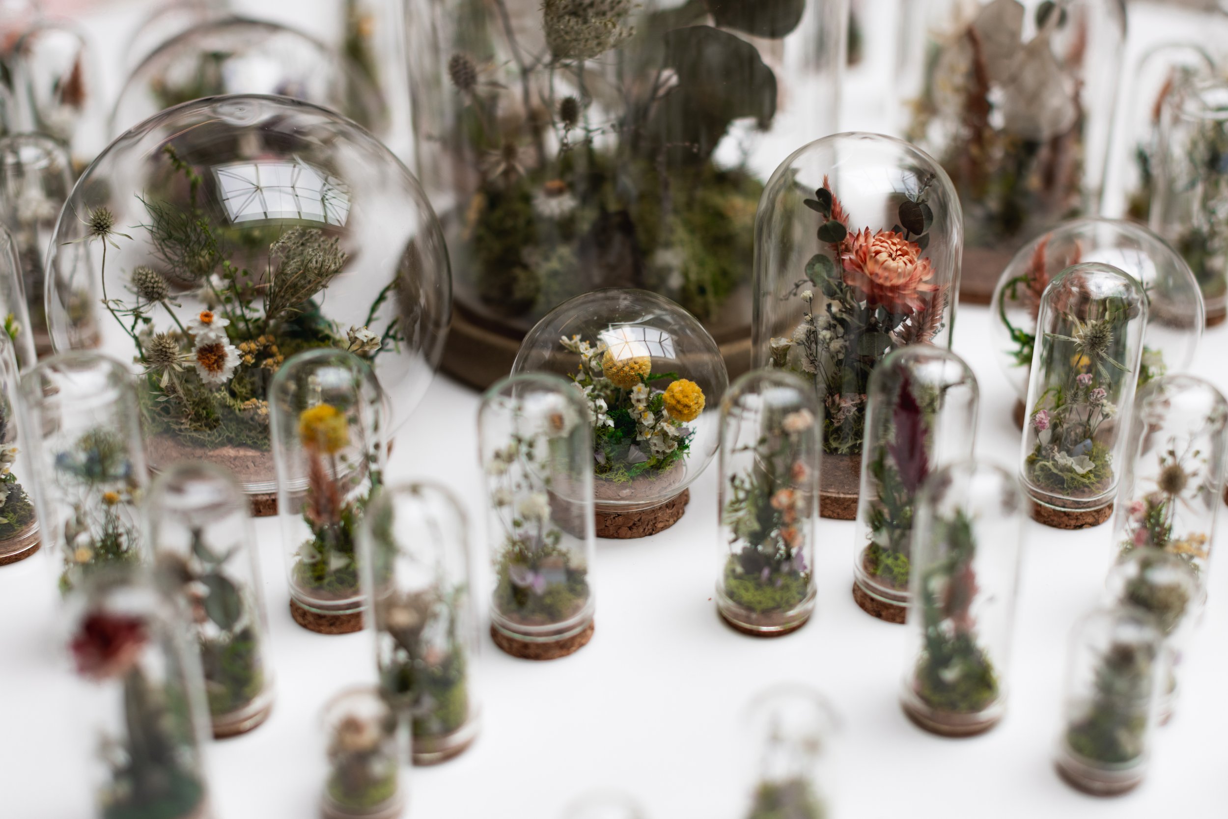 Bloom BTV 2025 WEB-128.jpg