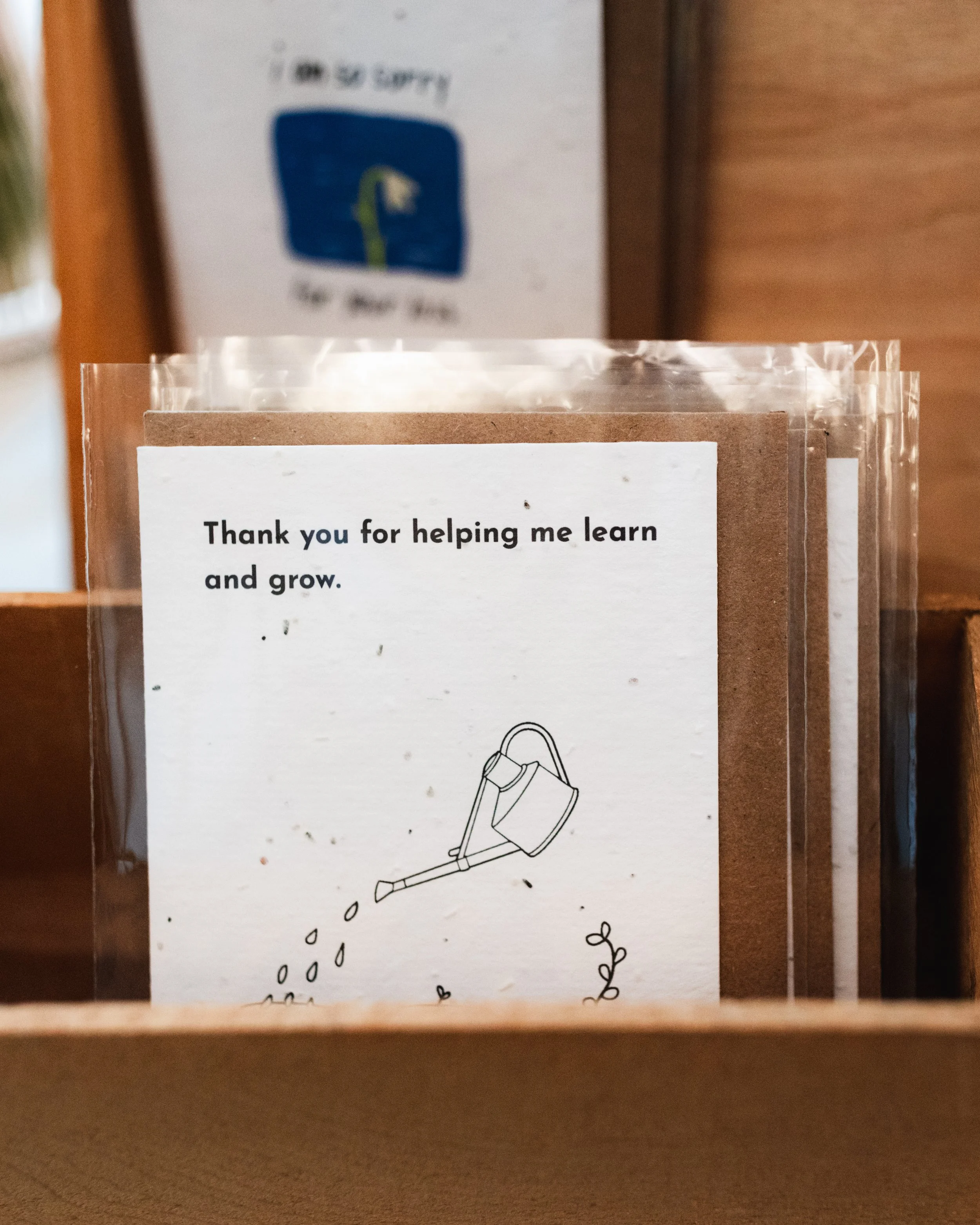 Bloom BTV 2025 WEB-217.jpg