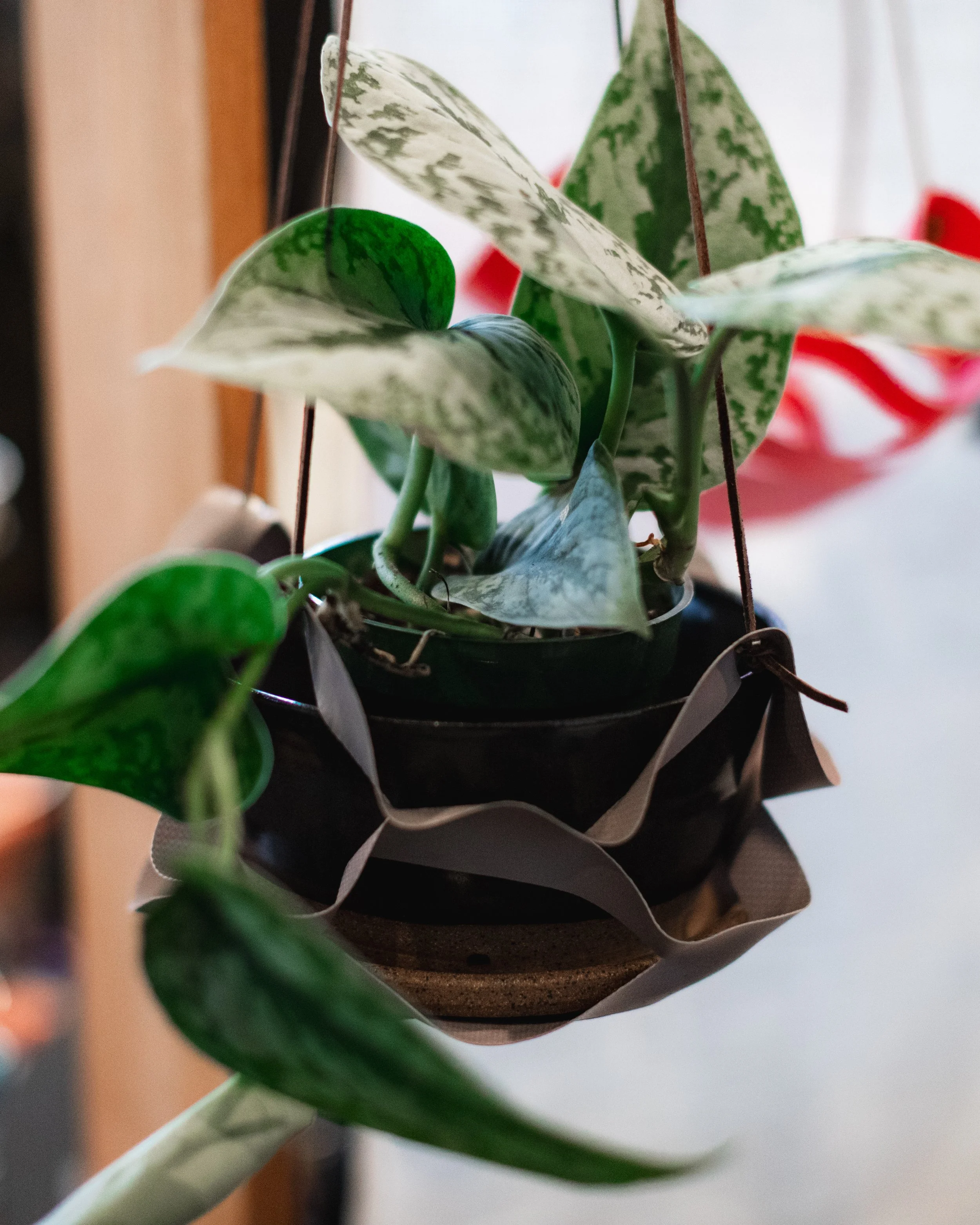 Bloom PVD 2025 WEB-67.jpg