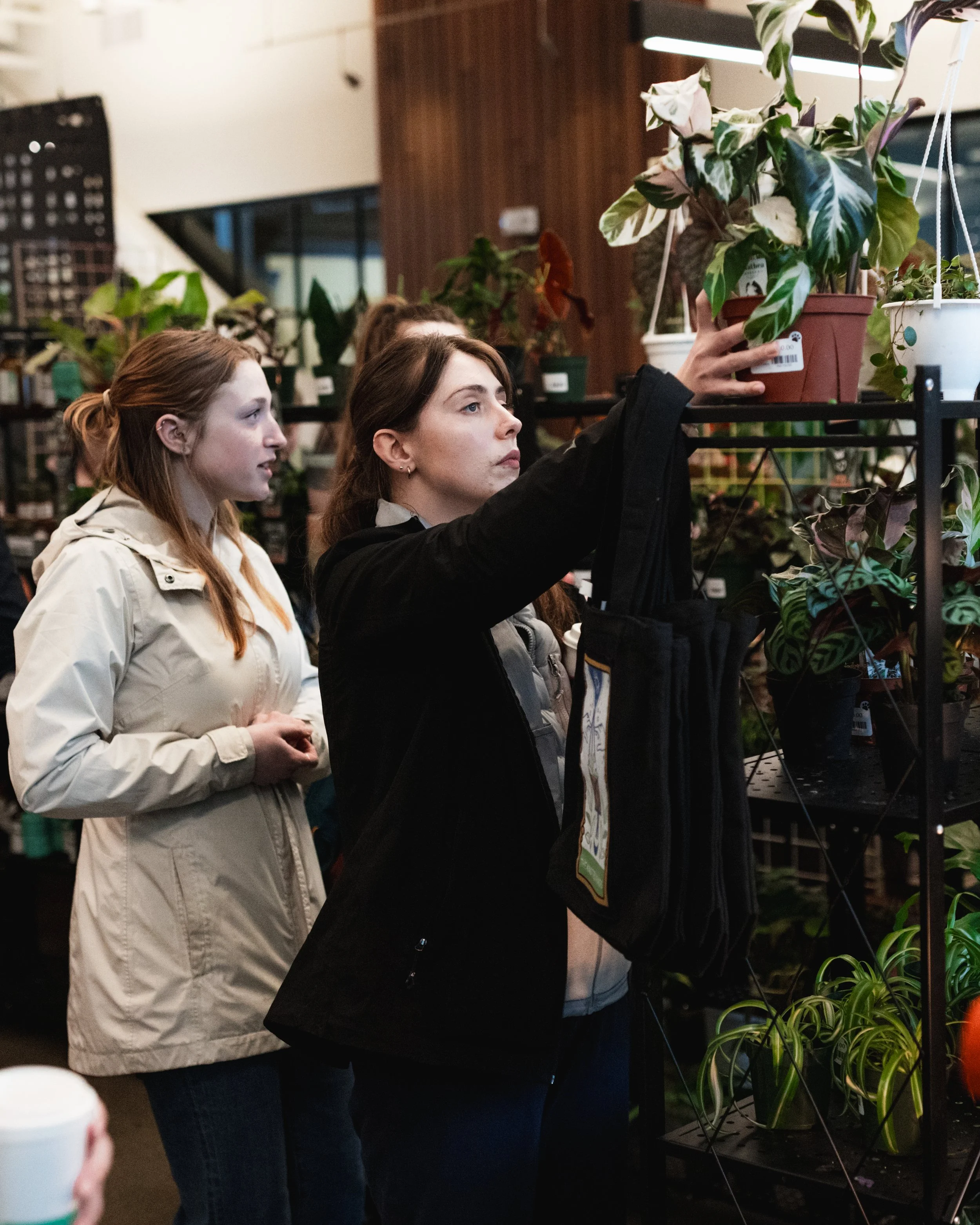 Bloom BTV 2025 WEB-222.jpg