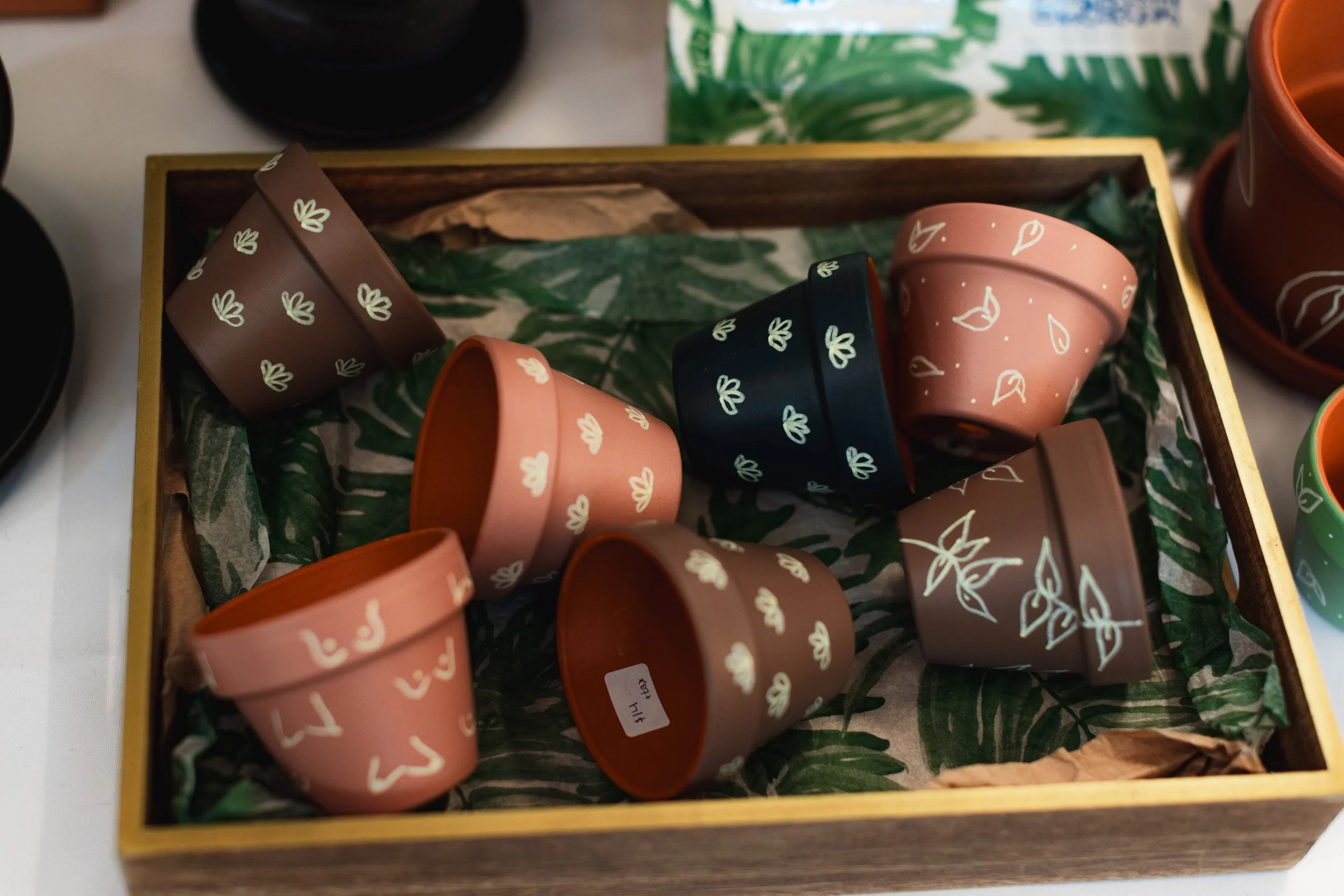 Bloom BTV 2025 WEB-144.jpg