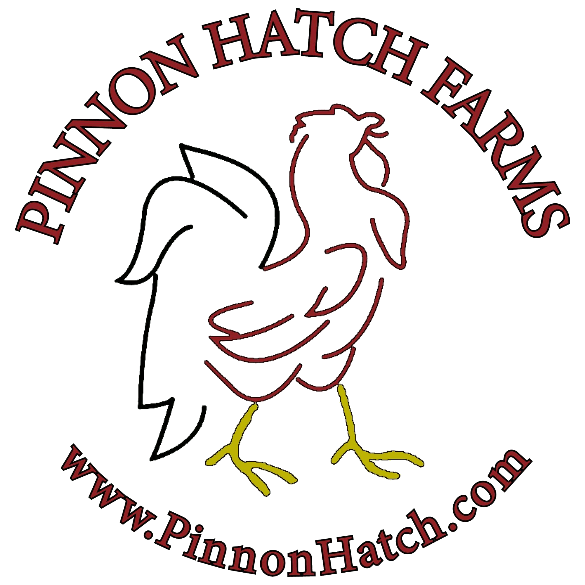 100 Pinnon Hatch Farms Jiffy Wing Bands Custom Stamped Brass Gamefowl Chicken Pheasant Poultry Duck Quail Chucker
