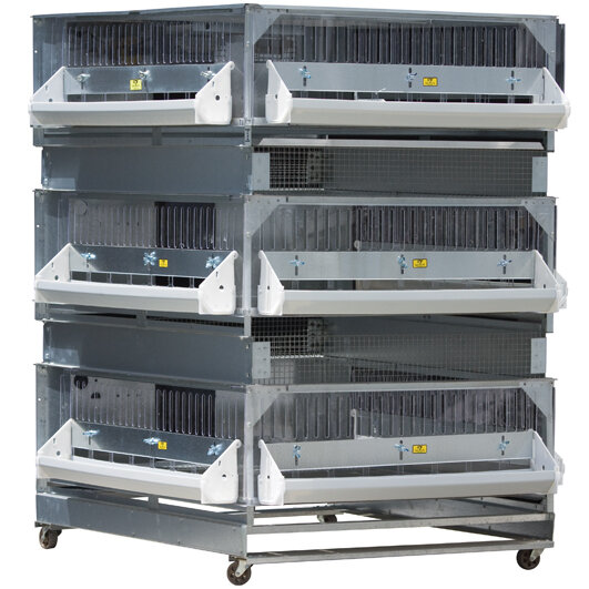 0703 - Brooder, Poultry +2 Expanded Grow Pens