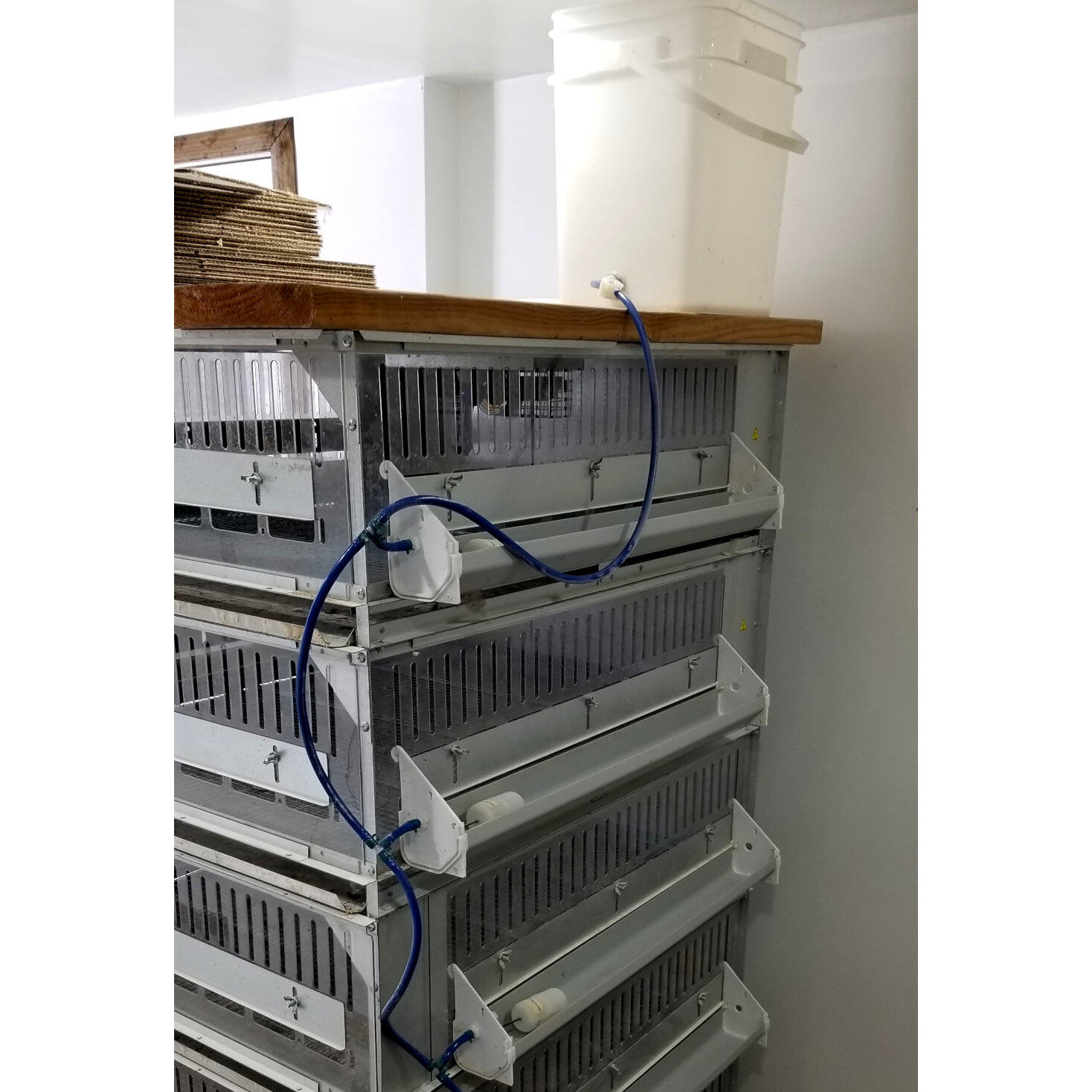 0580 - Automatic Water Kit for 5-Stack Battery Brooders