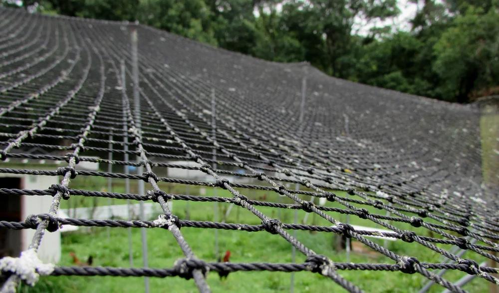 Heavy Knotted Poultry Netting 2" Mesh Break/Burst 85/245lb per mesh