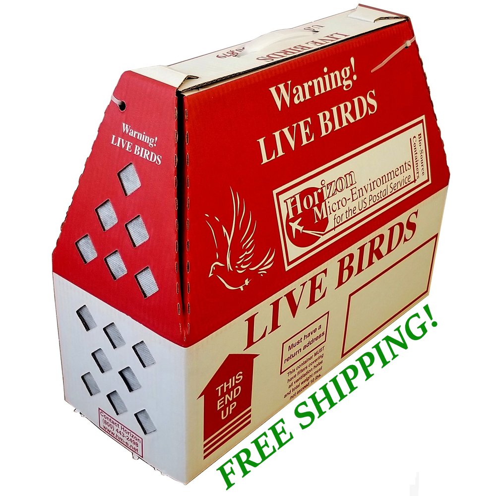 https://images.squarespace-cdn.com/content/v1/60a3d6ae04d5c4317180565c/1665077858799-M4HQSD2KTDBBLKVN8F34/live-bird-shipping-box-free+shipping.jpg?format=1000w