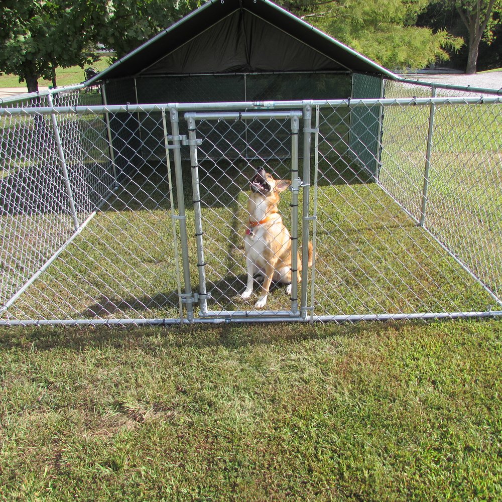 homoseksueel Ooit Vulgariteit 10 x15ft X-Large Outdoor Pet Dog Run House Kennel Shade Cage Enclosure w/  Cover | Your One Stop Poultry Supply Shop!