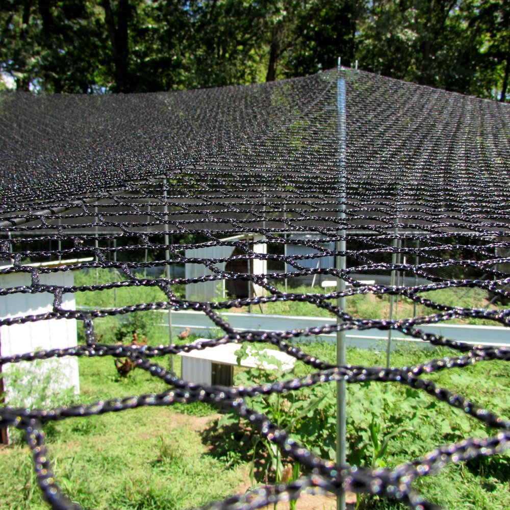 50' x 50' Anti Bird Netting for Poultry Quail Nets Chicken Net