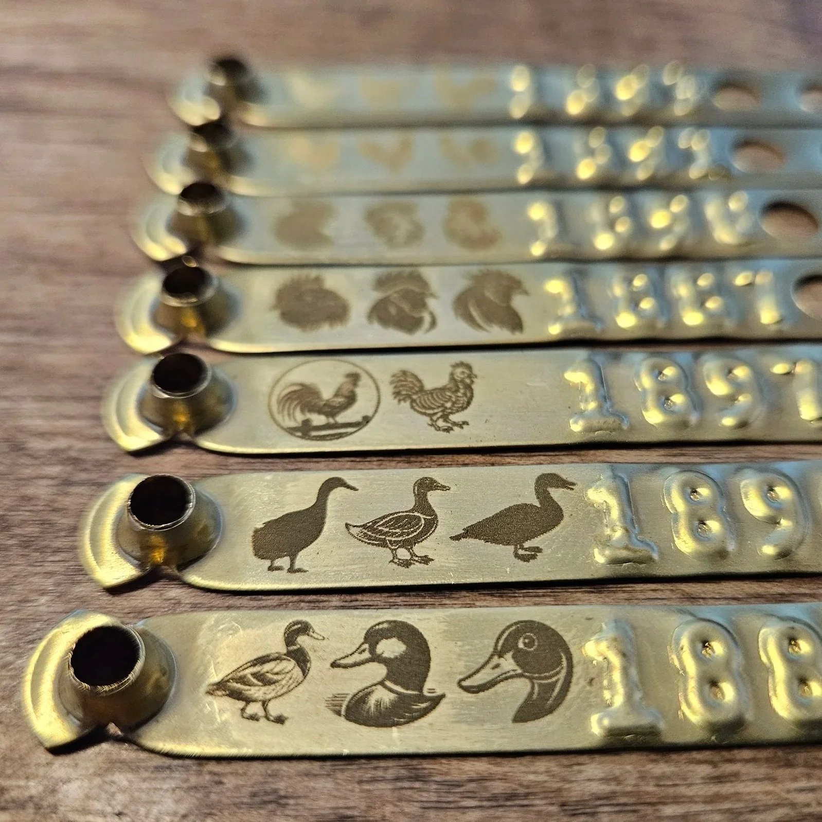 Custom Laser Engraved Leg Bands ID Tags for chickens w/ Your Artwork or Logo (Copy)
