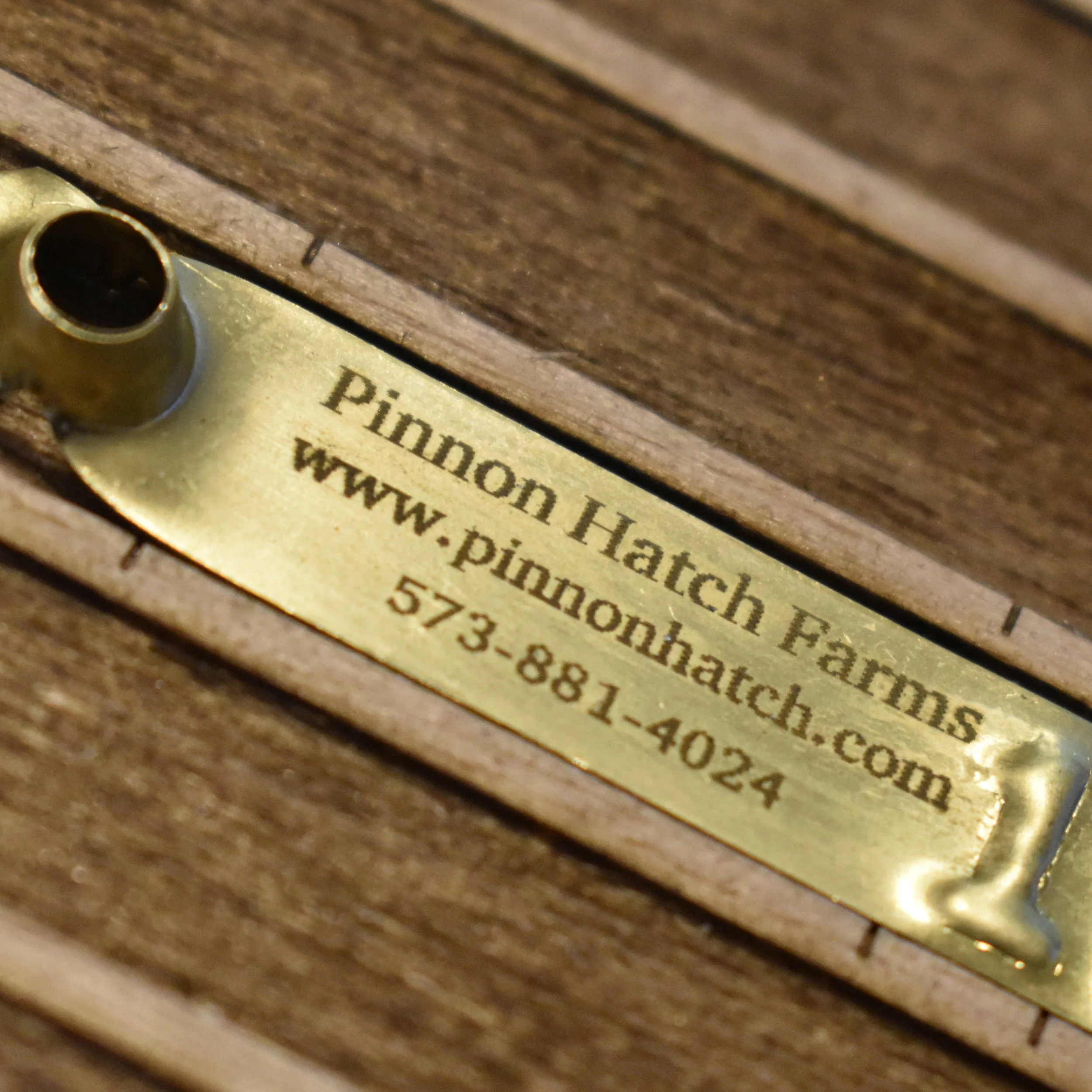 Custom Laser Engraved Leg Bands ID Tags w/ Text Only