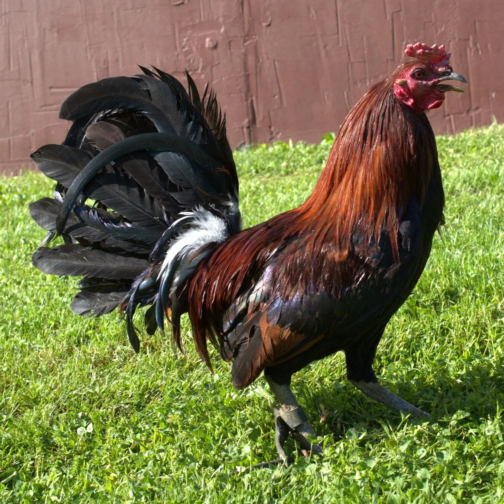 K-LEIPER-4.jpg