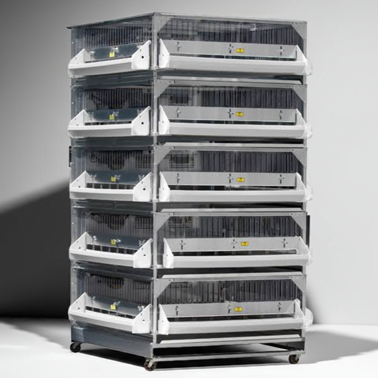 0705 - Stacked Grow Off Pen, One for Birds & Chicks | Your One