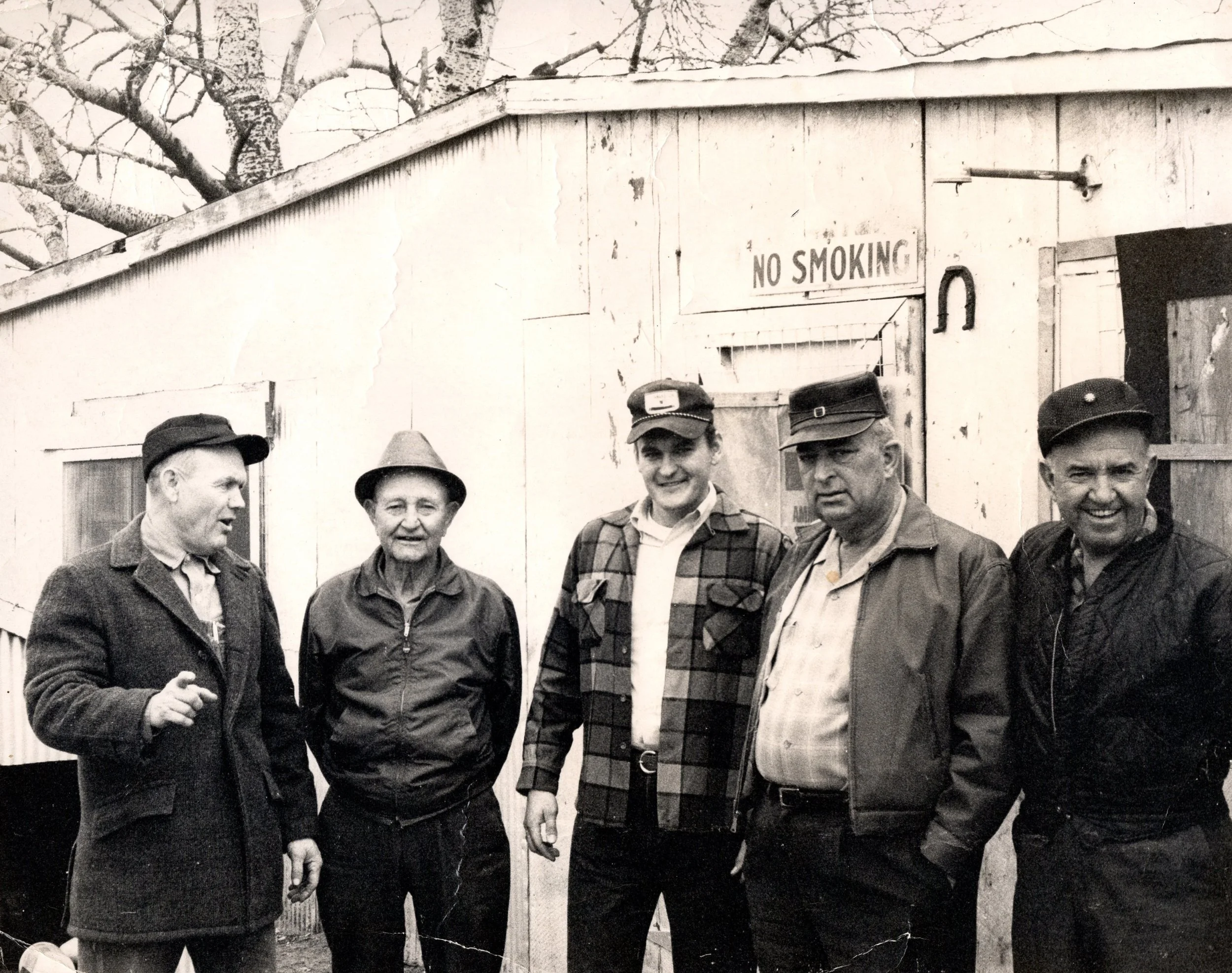 Yellow Leg Pea Comb Hatch | Pinnon Hatch Farms