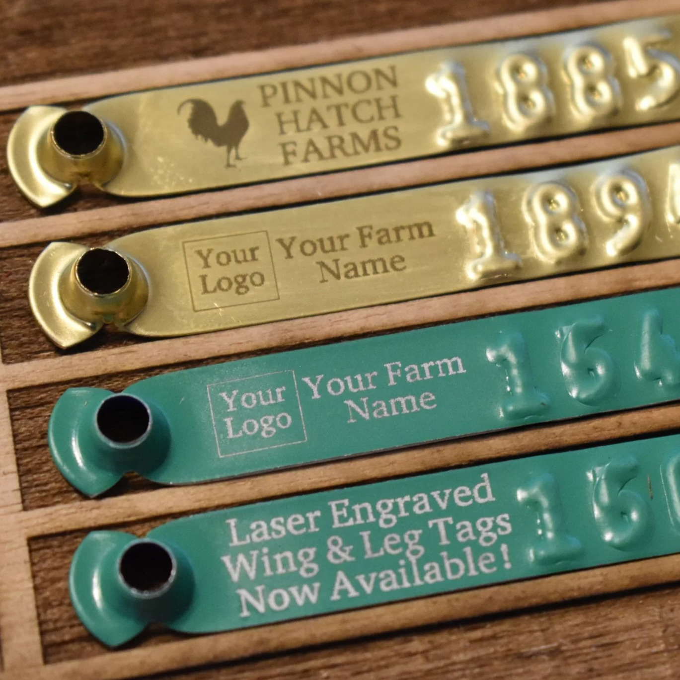 Custom Laser Engraved Leg Bands ID Tags w/ Our Artwork