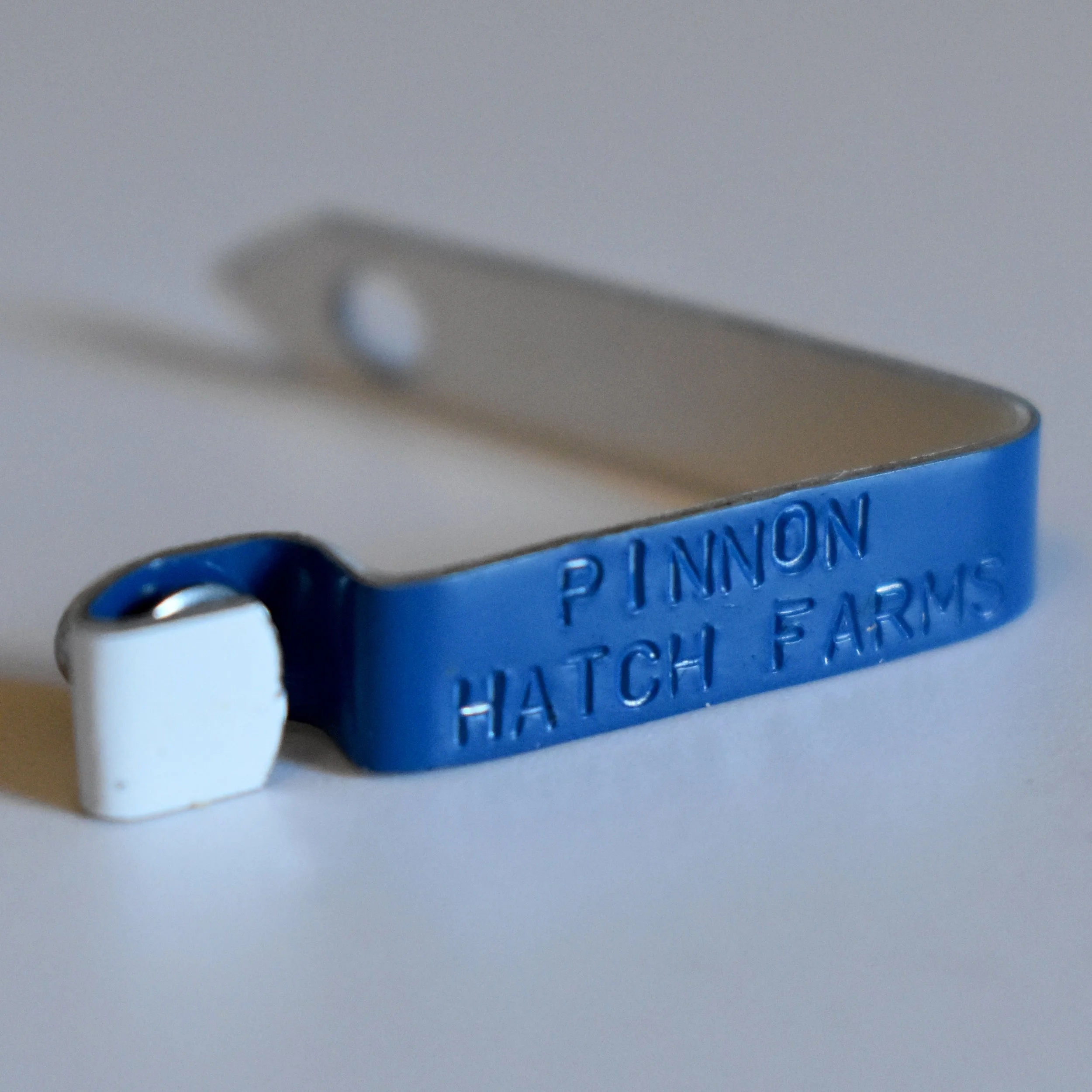 PHF_0725.JPG