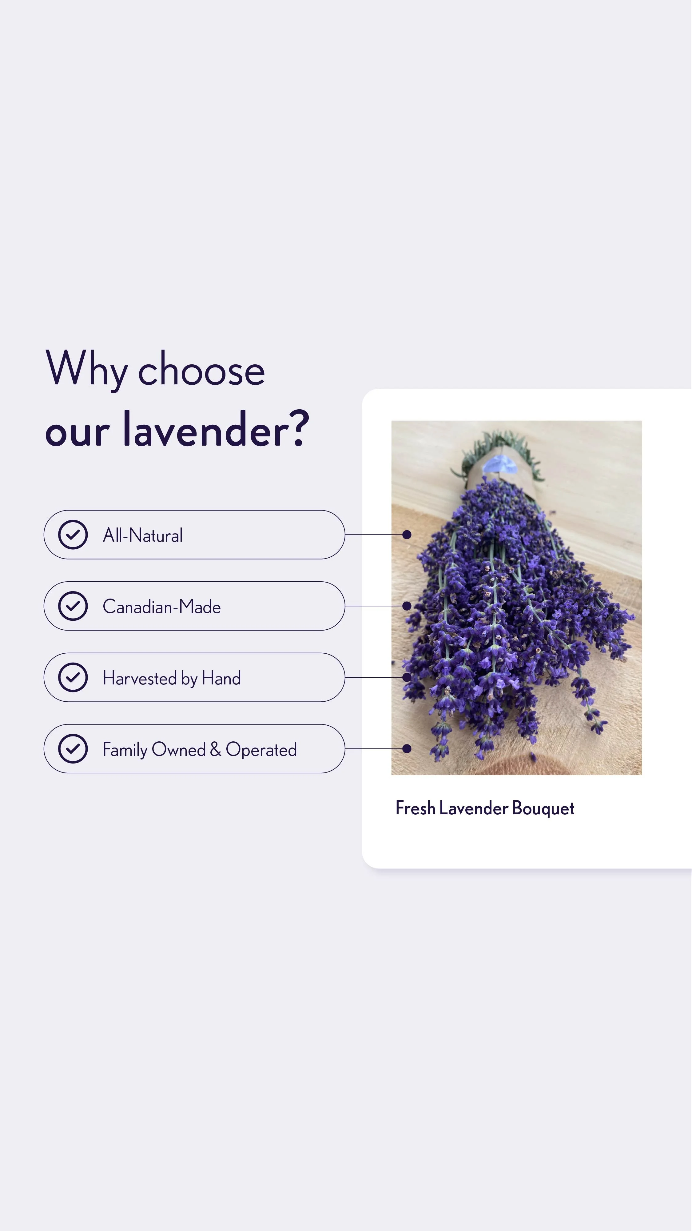 LCF Infographic New_English Lavender Cad-16.jpg