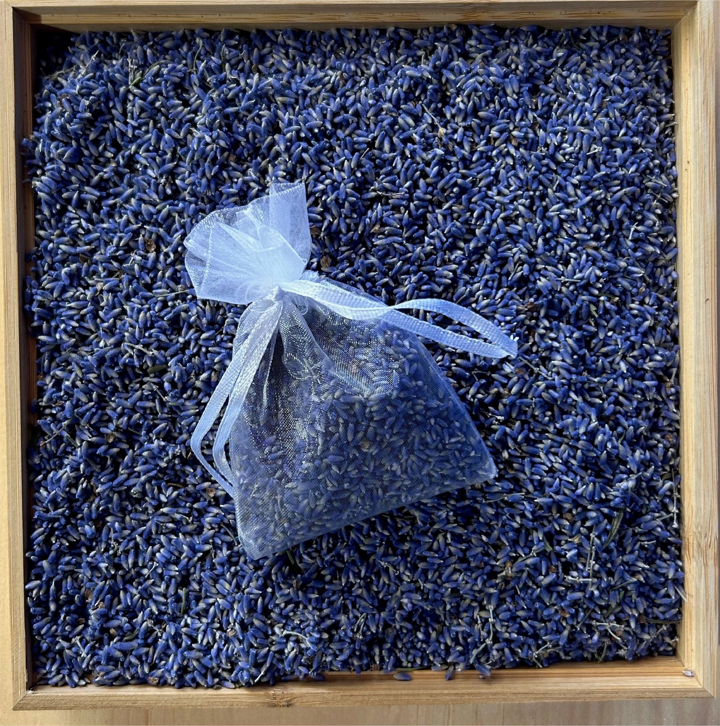 Sachet.jpg