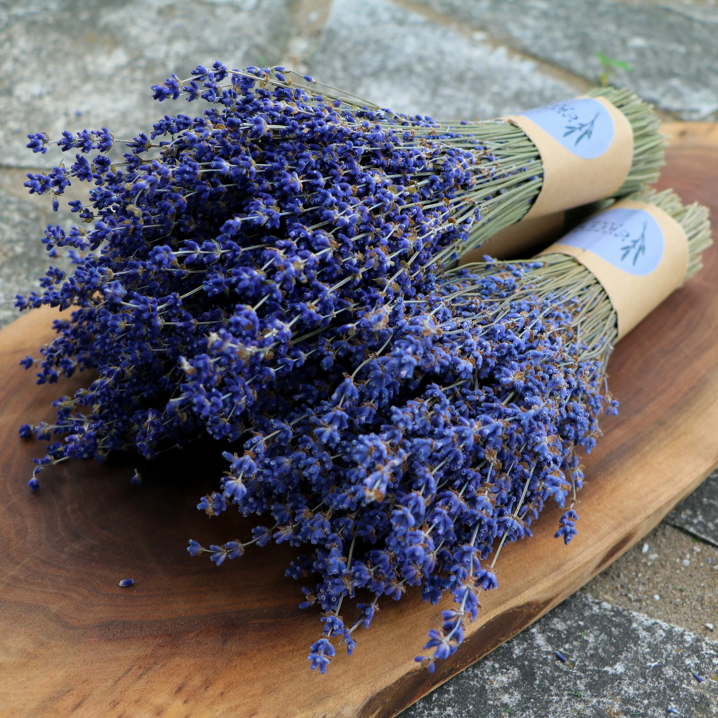 Wholesale Dried Lavender Bouquets - For quantities over 10