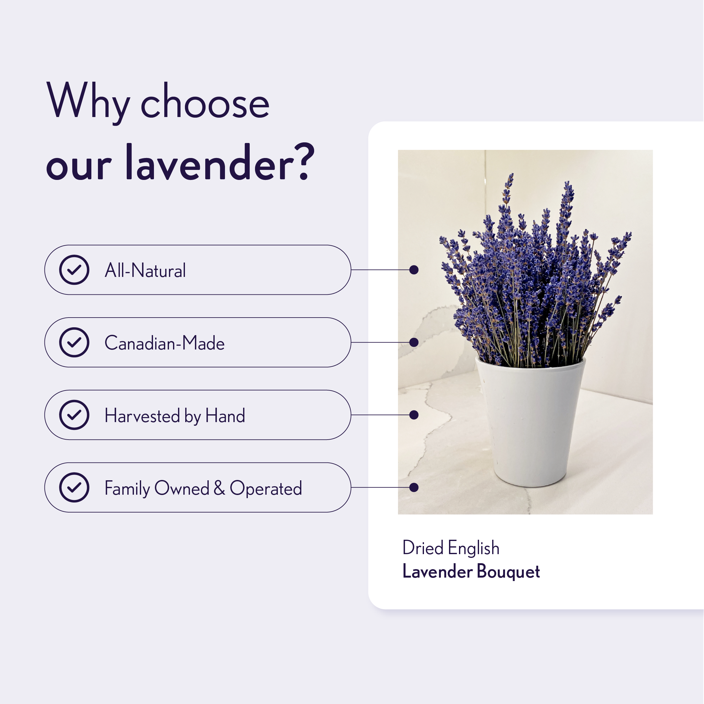 LCF Infographic_English Lavender Cad.png
