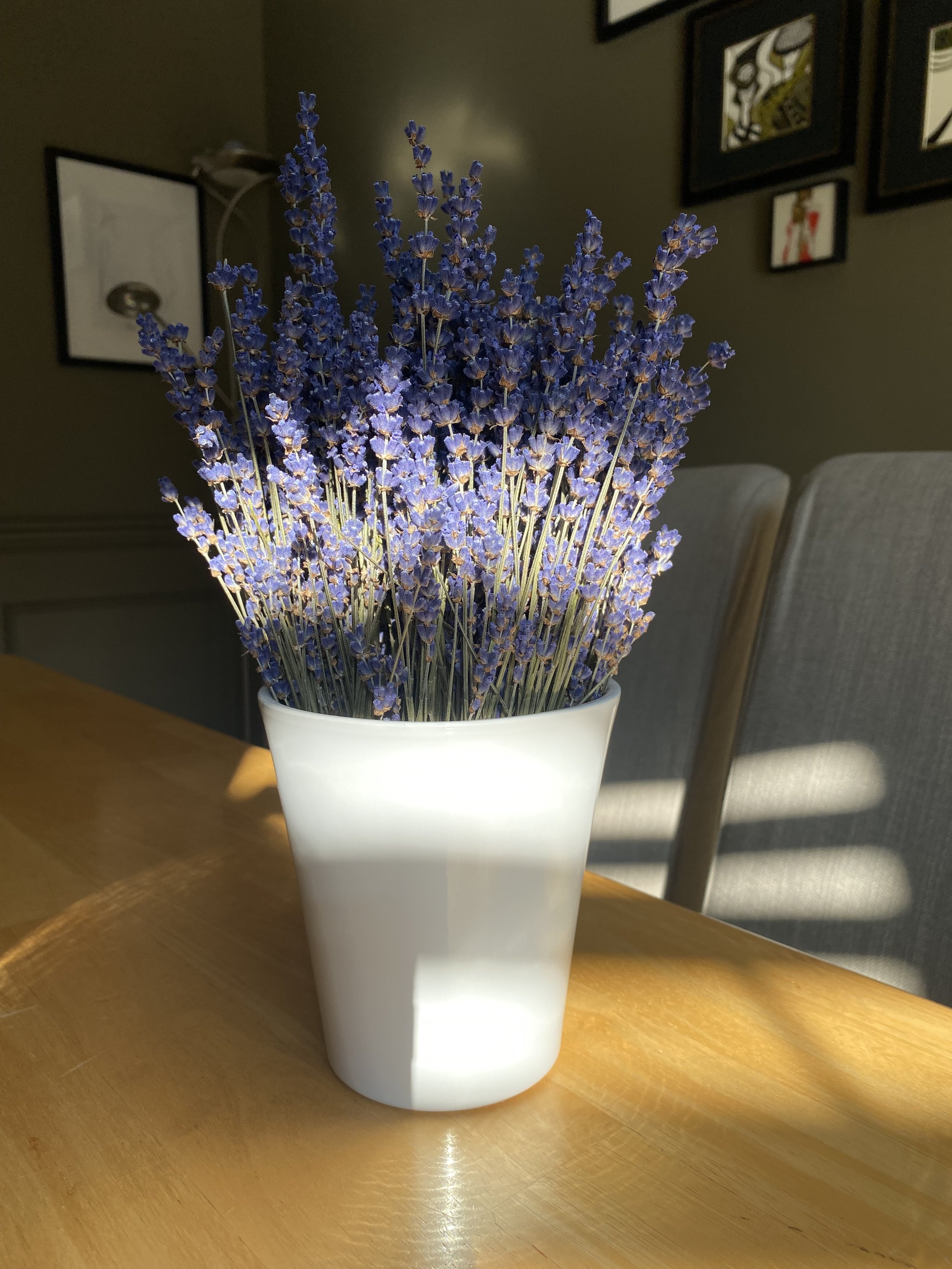English Lavender and EL Beautiful Purple.jpg