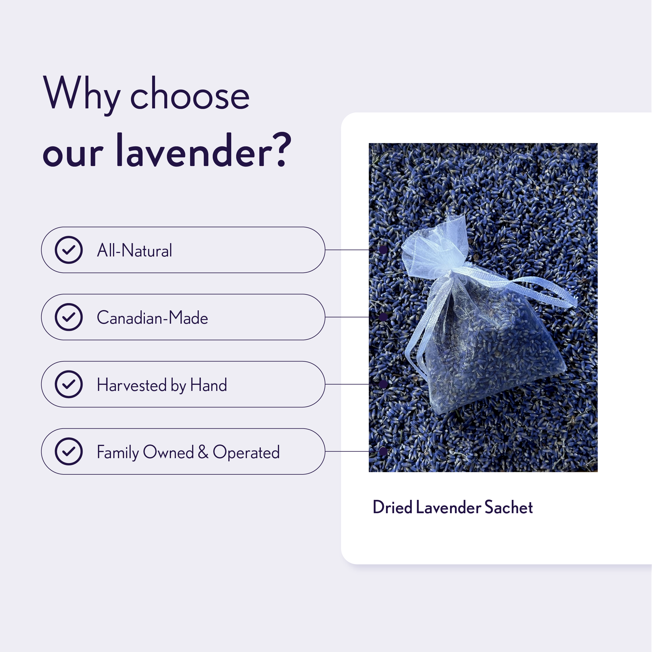 LCF Infographic_Lavender Sachet Cad.png