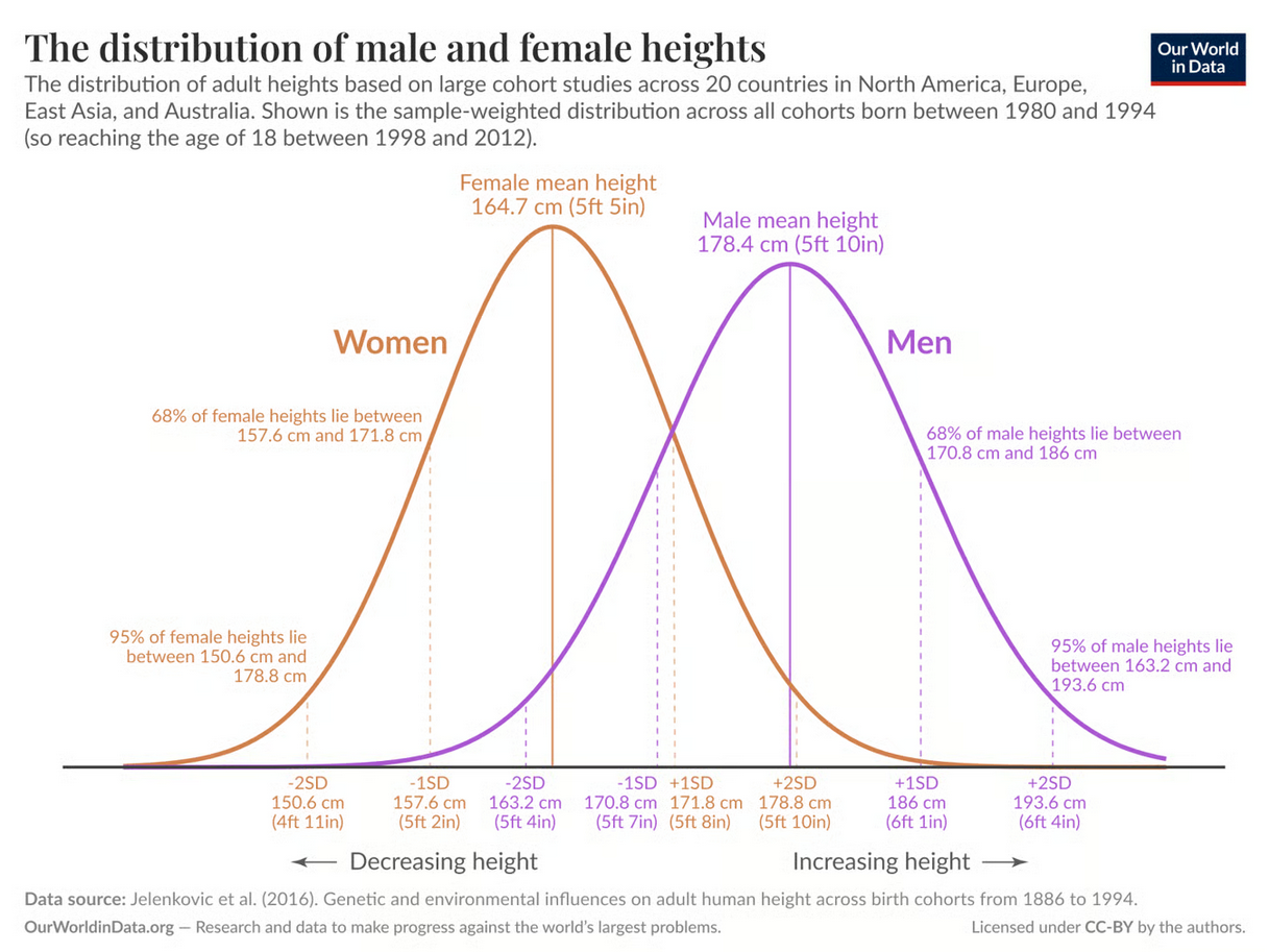 Three: An Average Man