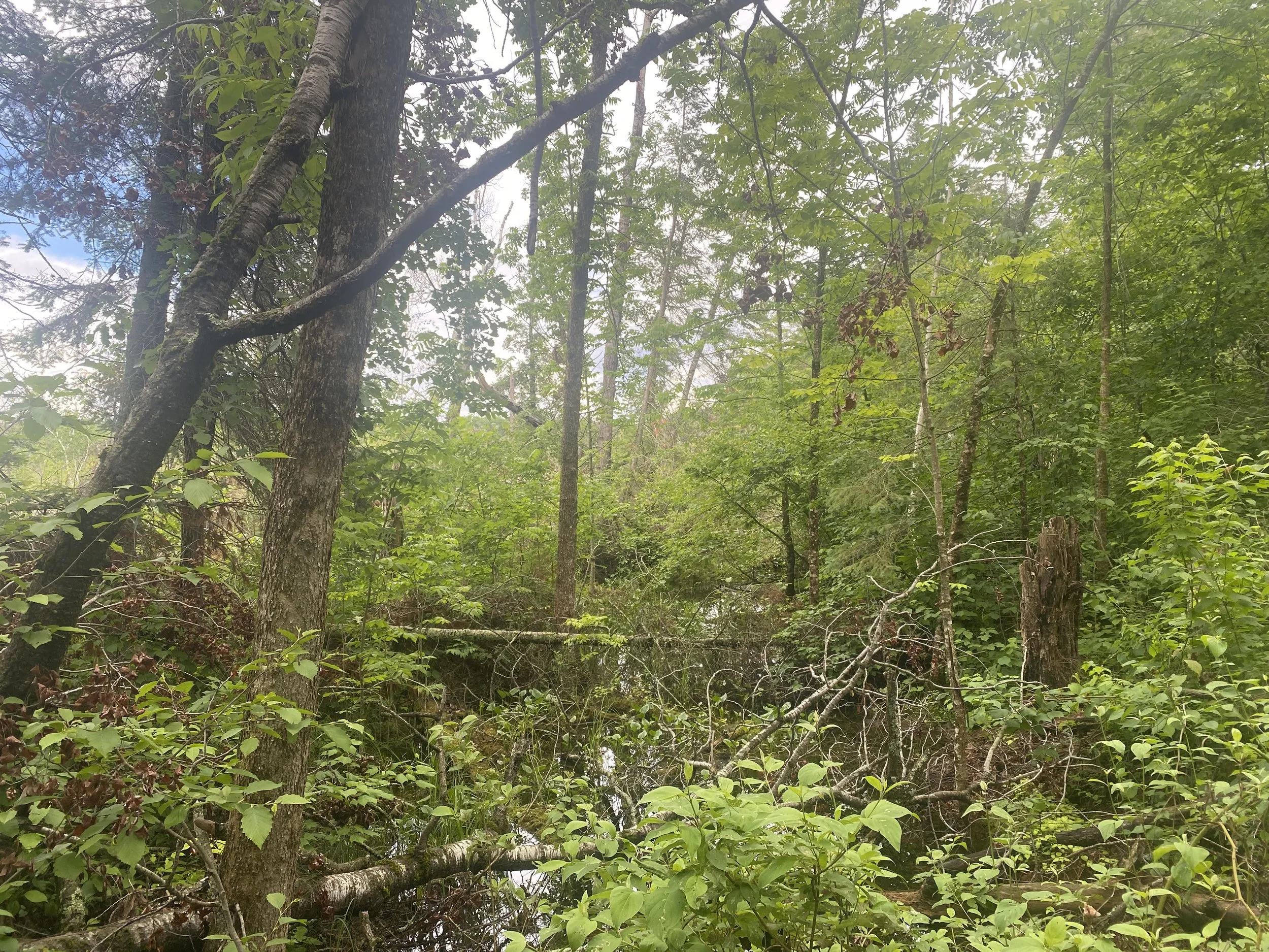 Thirteen: Society and Nature