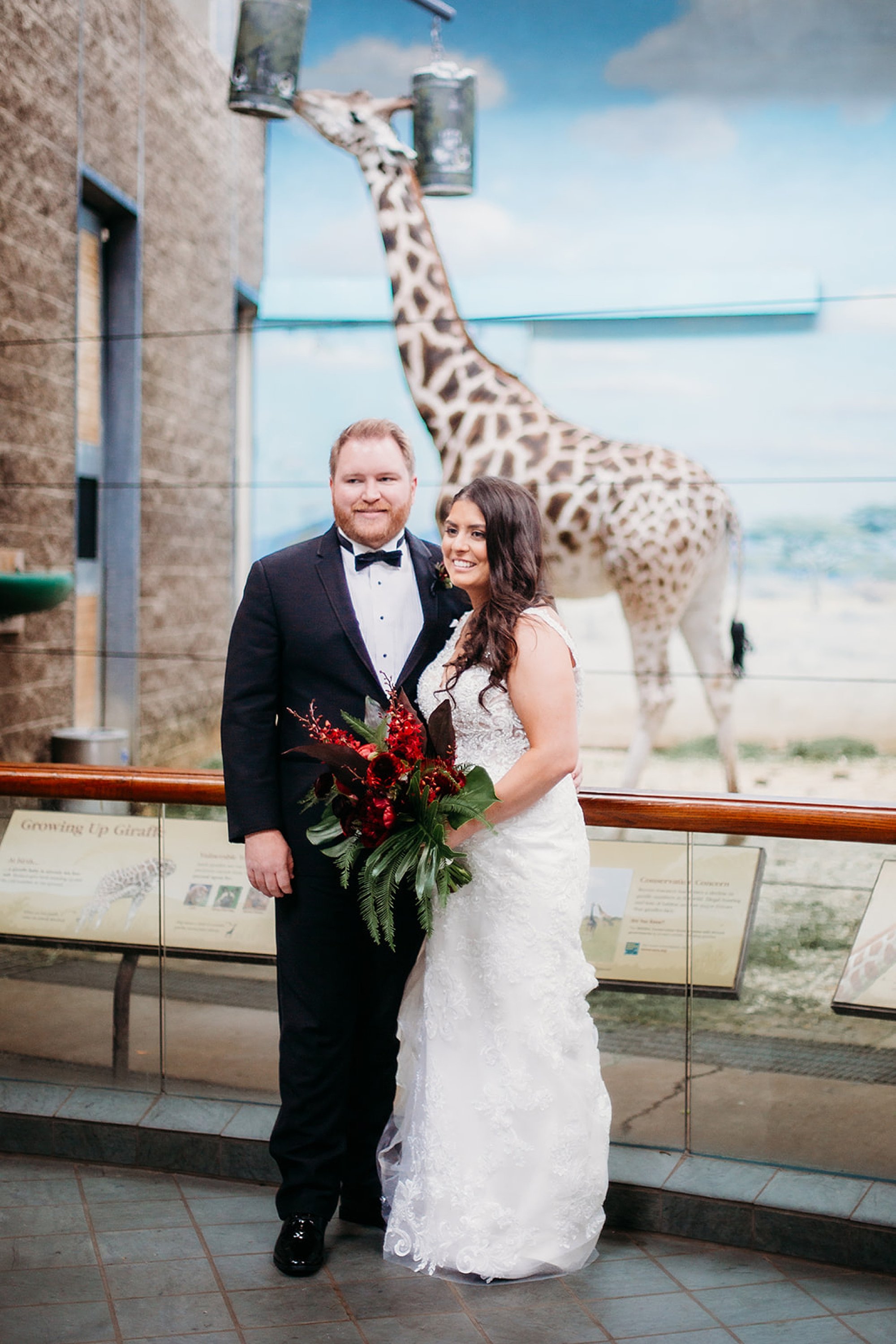 bride and groom hug by giraffe display at the Bronx Zoo
