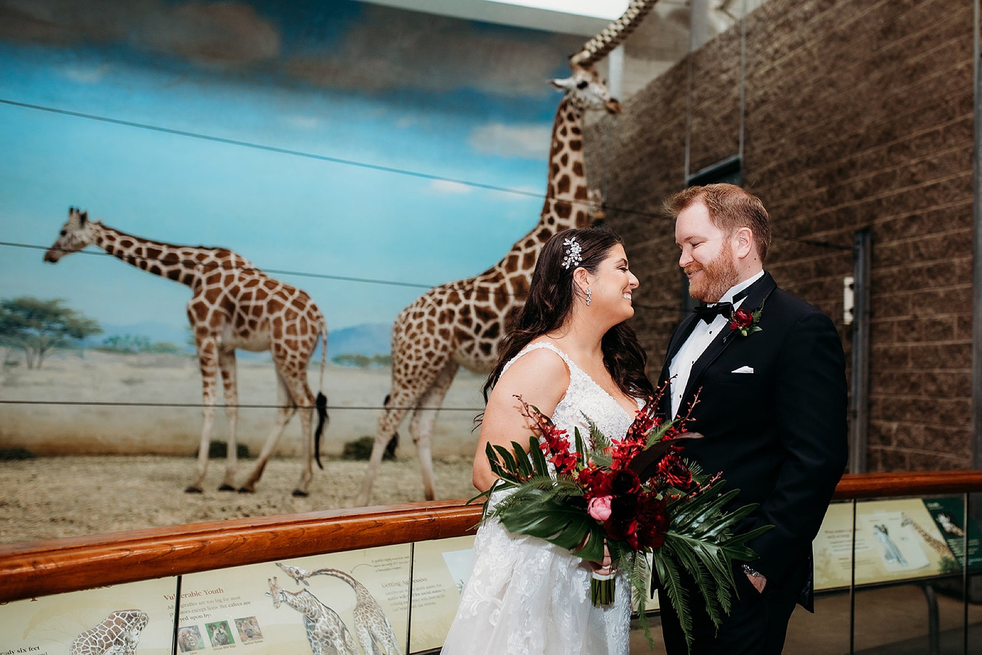 bride smiles at groom standing by giraffe exhibit at the Bronx Zoo