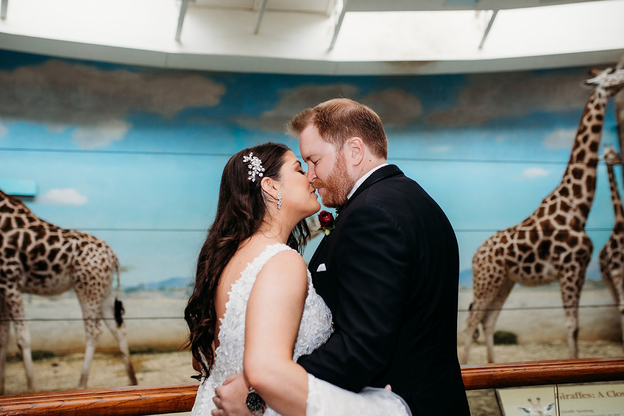 newlyweds lean together kissing with giraffes behind them at the Bronx Zoo