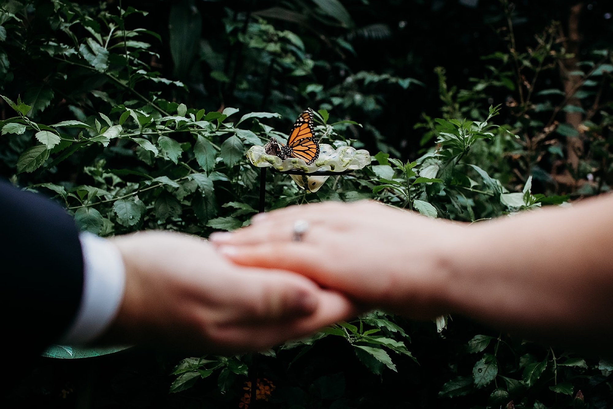 bride lays hand on groom's palm with orange butterfly behind them 