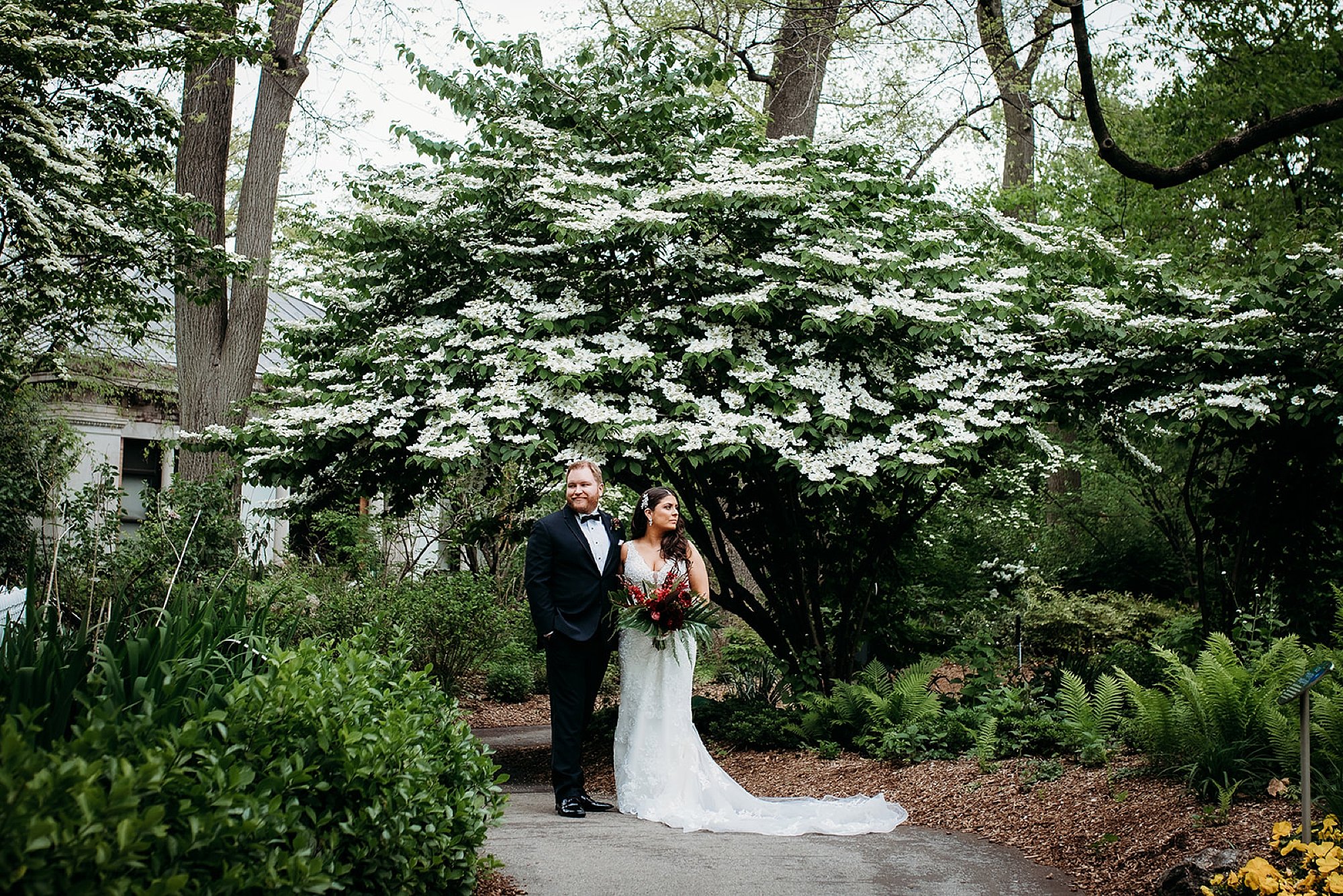 bride and groom pose in corner of gardens under short tree at the Bronx Zoo