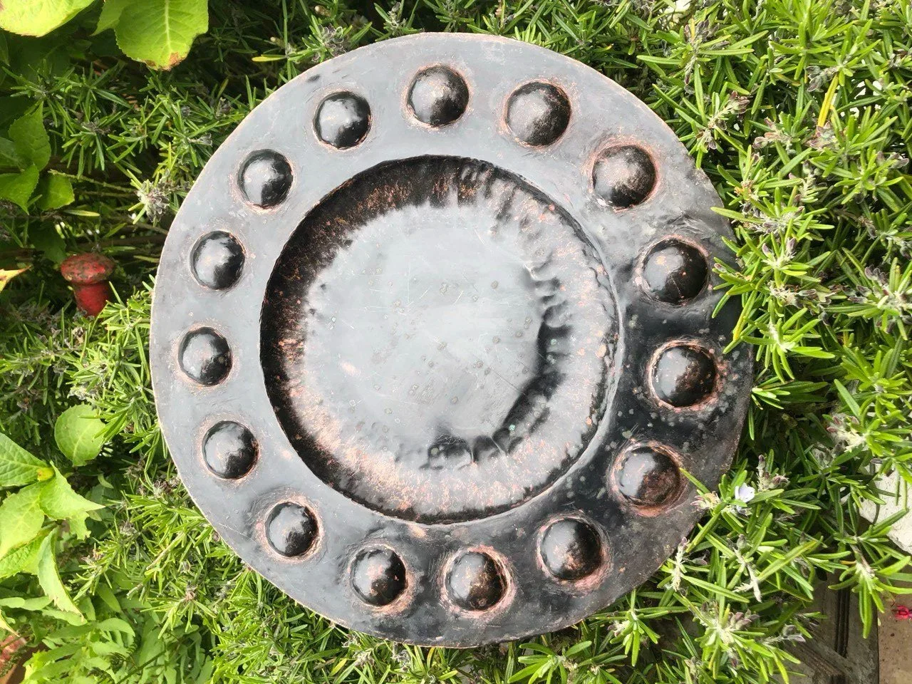 A large, rusty, circular metal object with evenly spaced bumps around the outer edge, placed on green plants and grass.