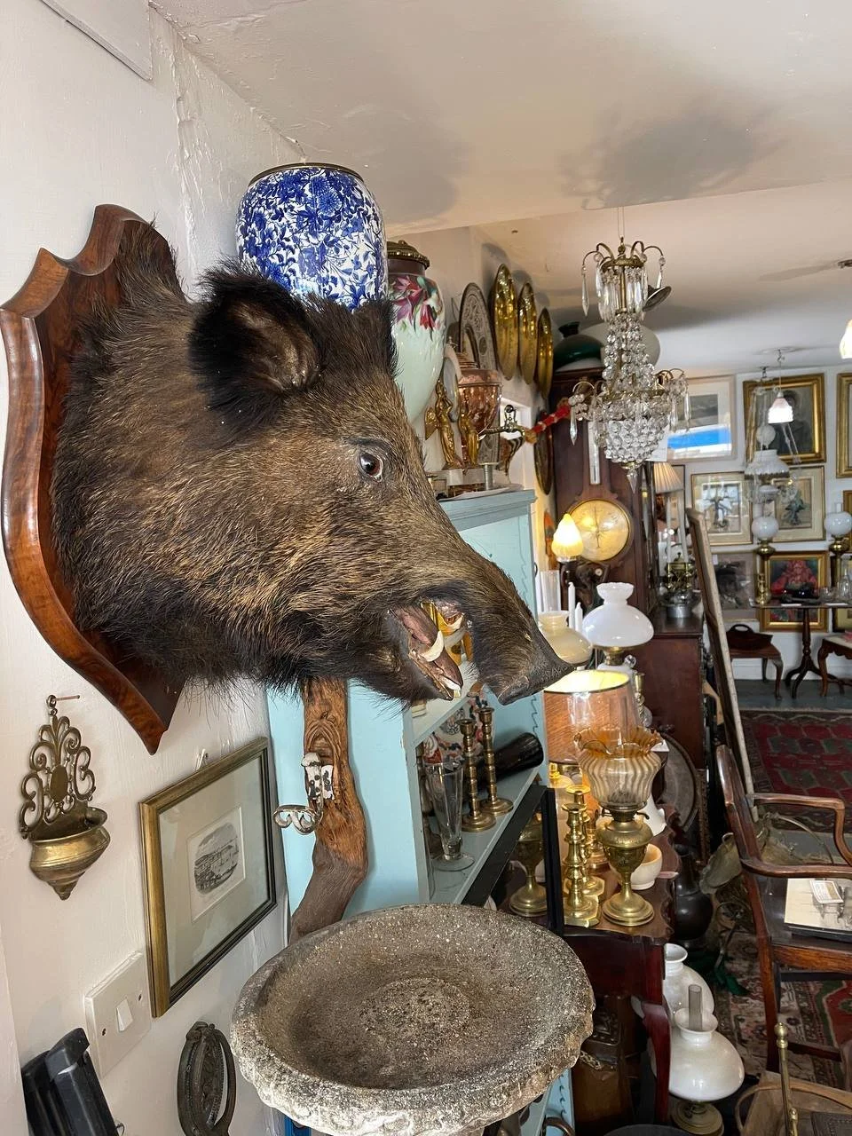A mounted boar's head on a wood plaque hanging on a wall in an antique store with various decorative items and furniture.