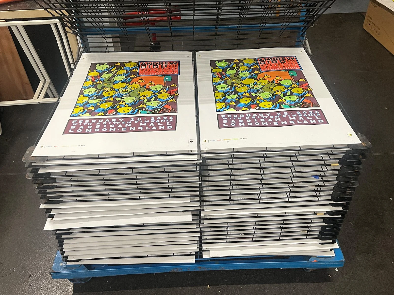 Andrew Bird x Jay Ryan