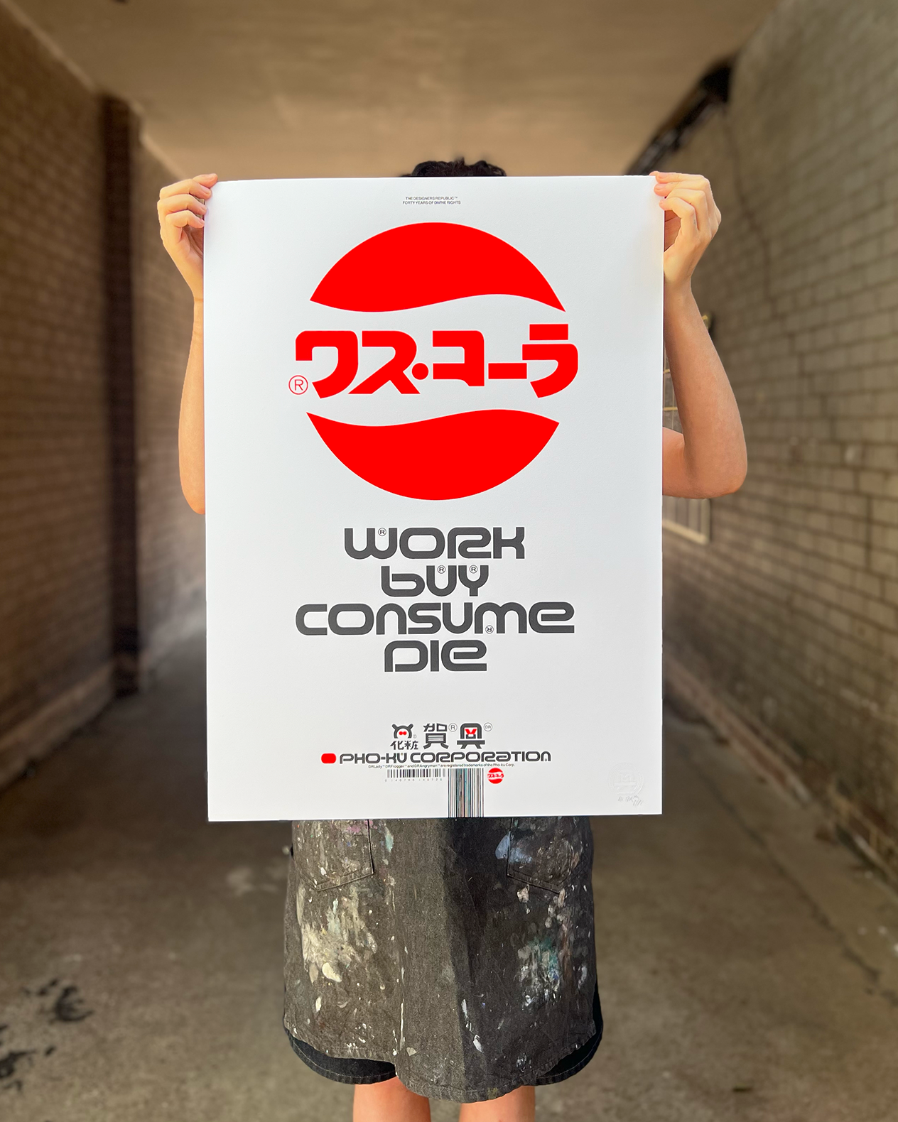 tdr im 5.png