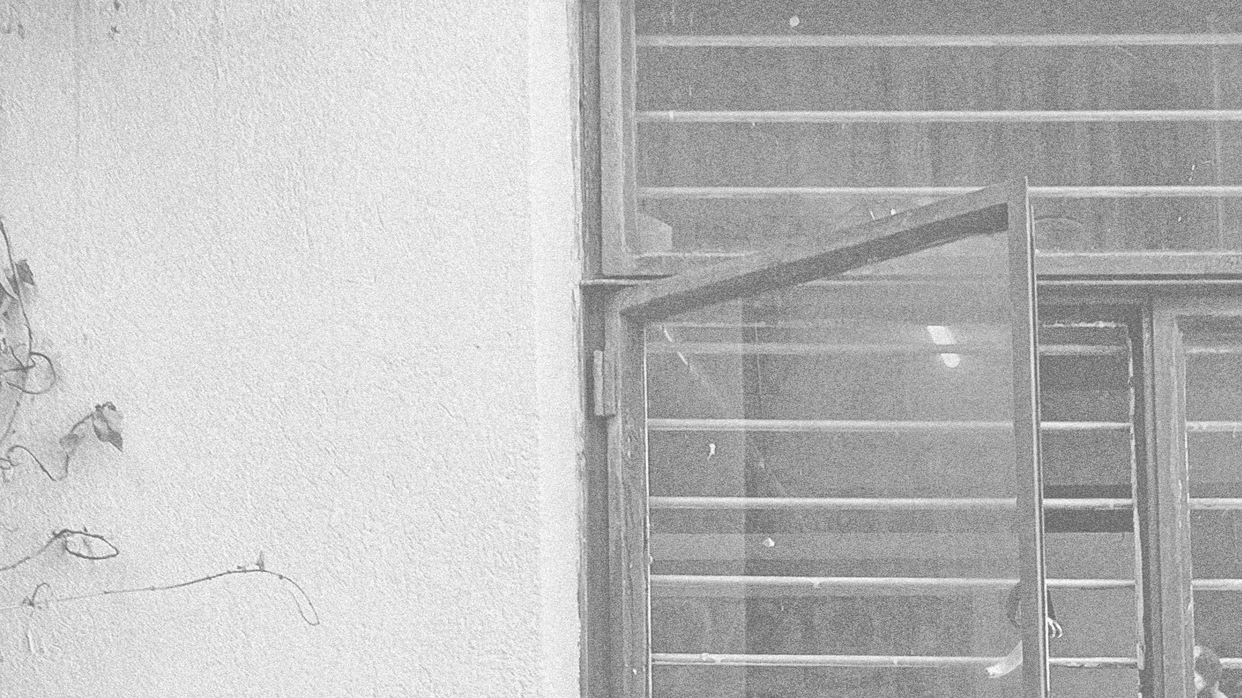 A black and white photo of a door and window frame with hanging ivy, in a courtyard
