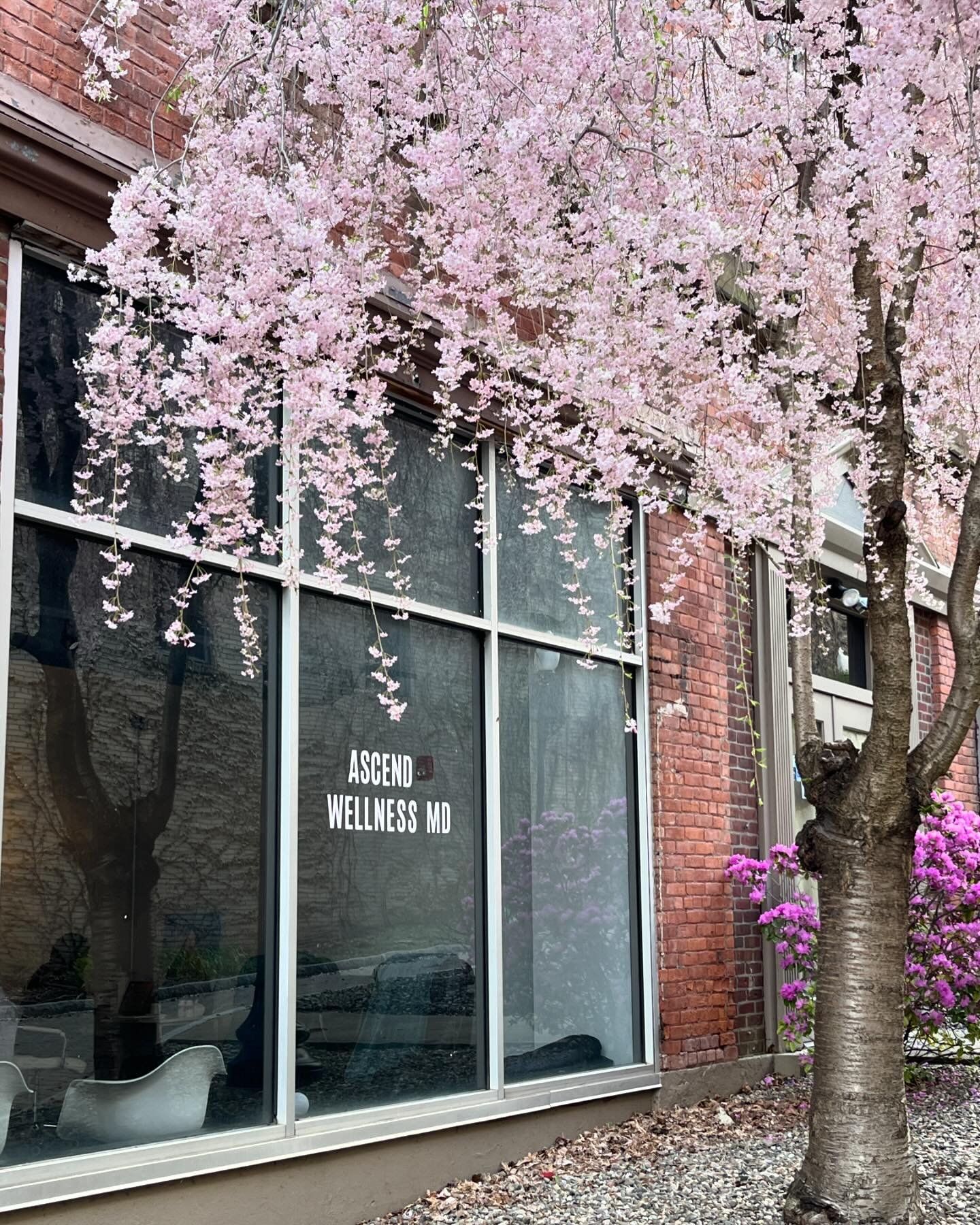 👀 What a fantastic view of our new location! Grand opening details are coming soon and we can&rsquo;t wait to welcome you. 

#AscendWellnessMD: Progress over perfection