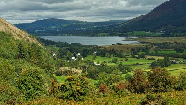 National Trust destroys decades-old Bassenthwaite grassland