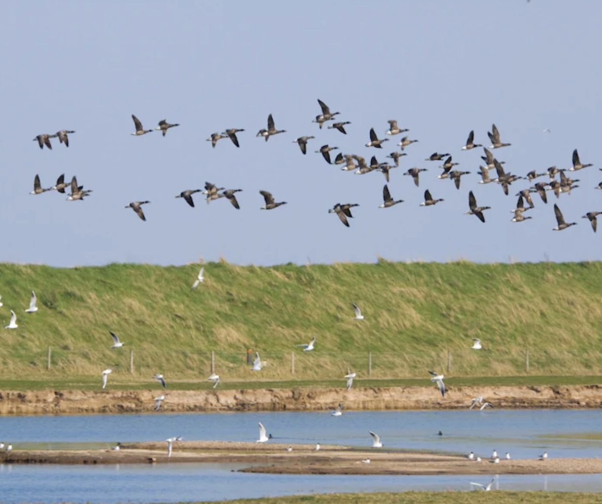 Why do the National Trust, the WWF and the RSPB think they can redefine ‘the people’?