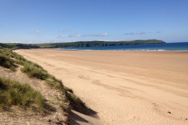 NT’s reckless approach at Woolacombe Down endangers nature 