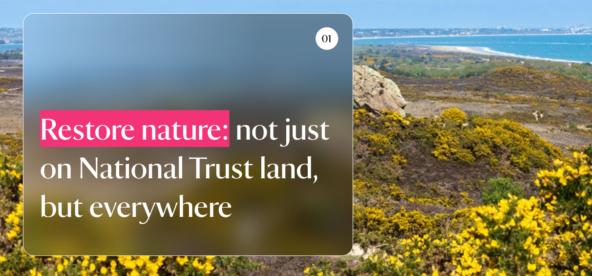The National Trust’s identity crisis