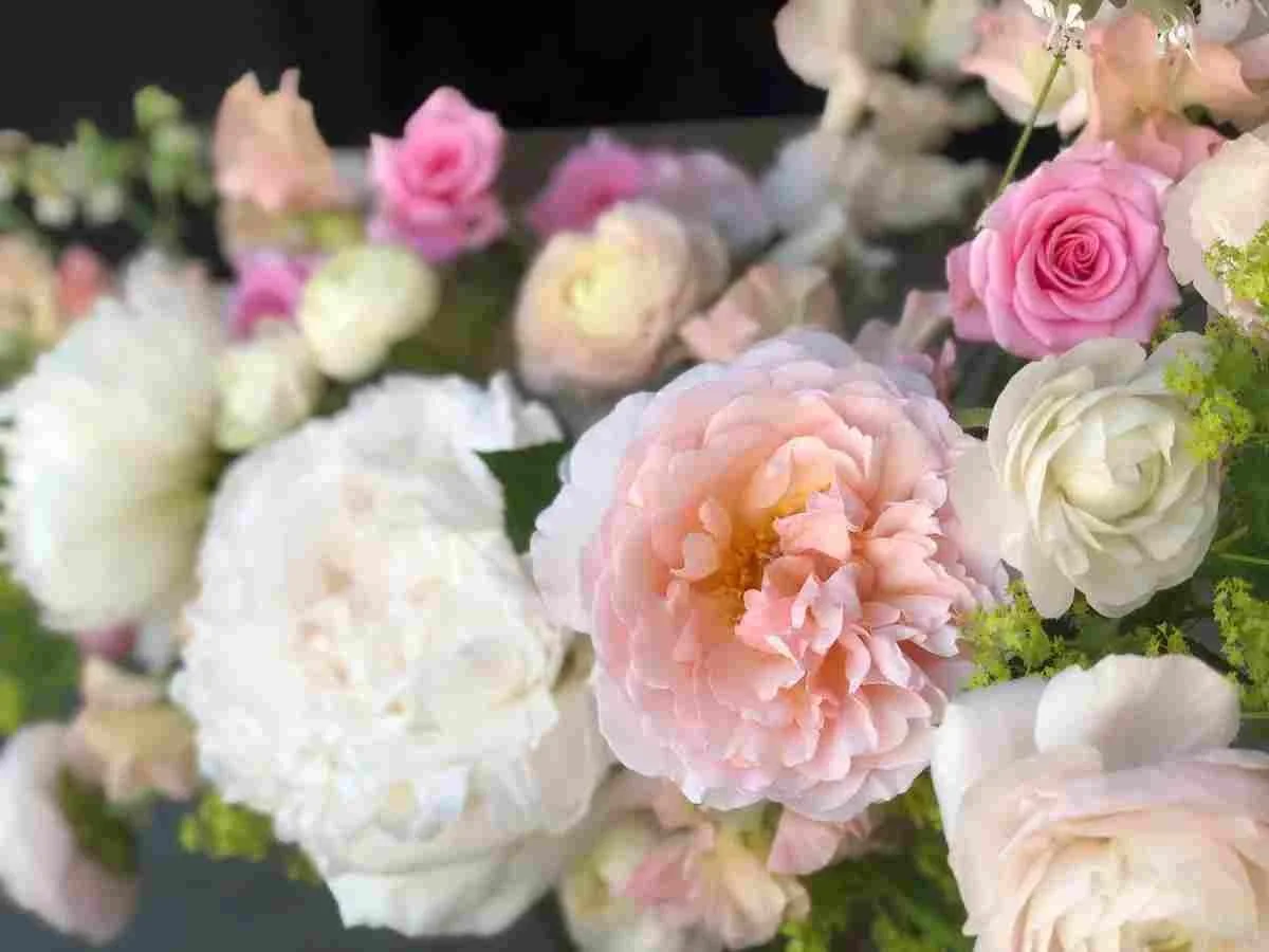 Saturday, August 15  —  A Garden  in the Cotswolds — Right Here in Colorado