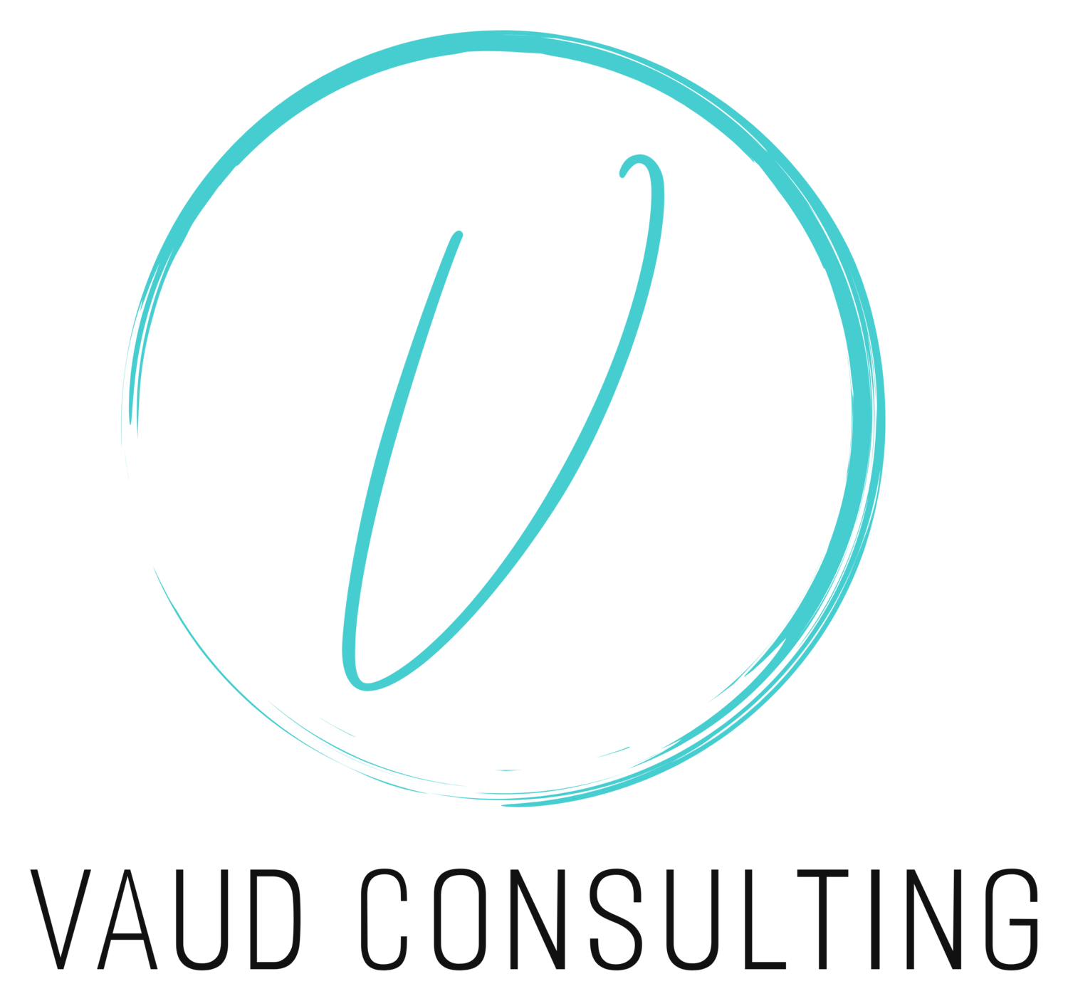 Vaud Consulting, LLC