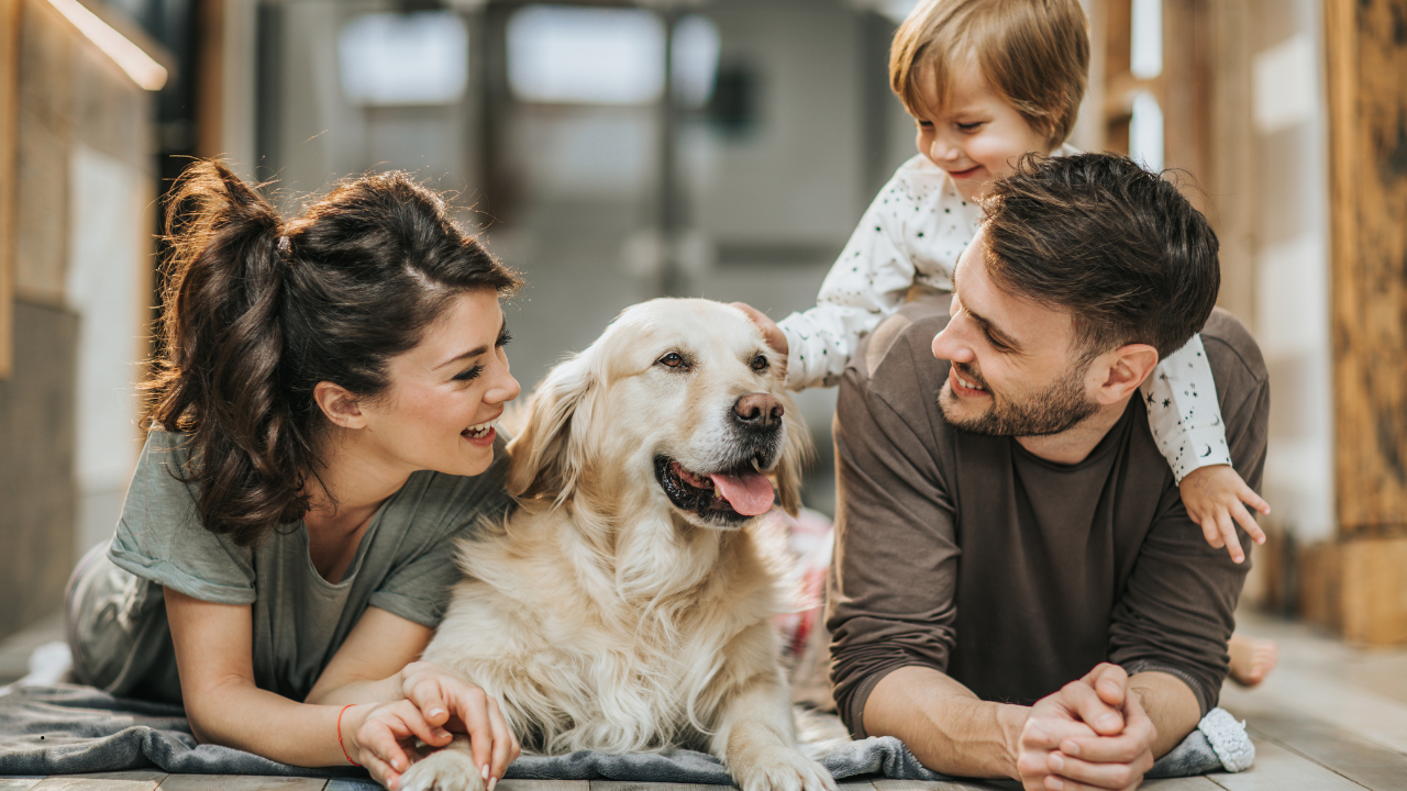 Can I create a trust for my pet?