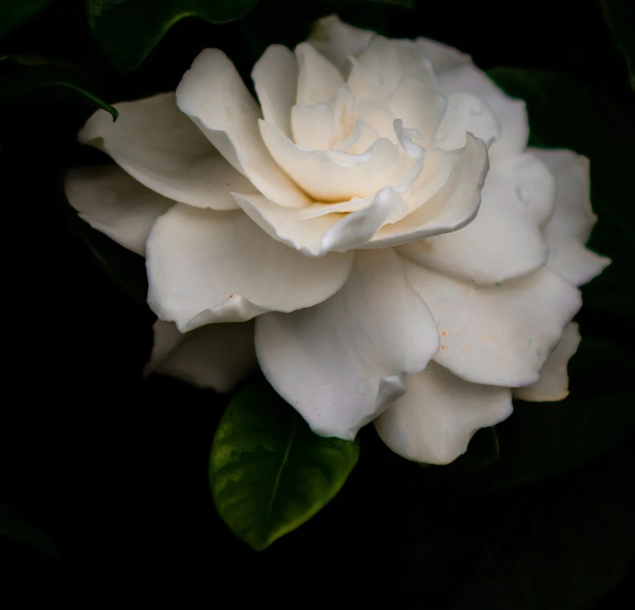 The Grief of a Lifetime: My Mother’s Death