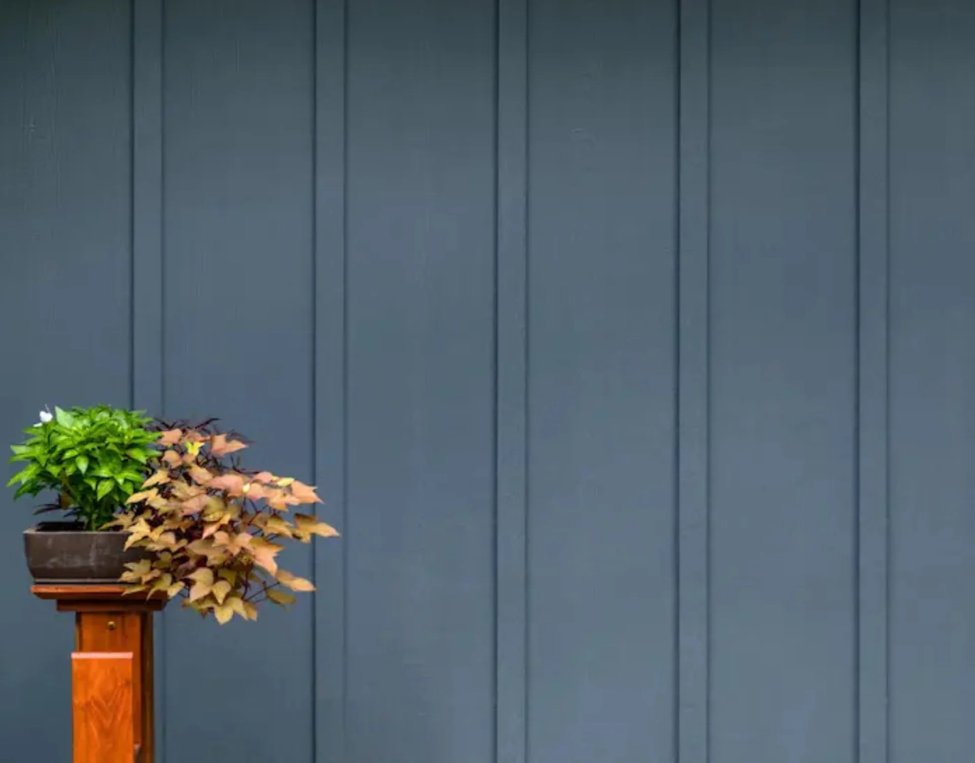 A potted plant on a wooden stand against a blue wall with vertical panels.
