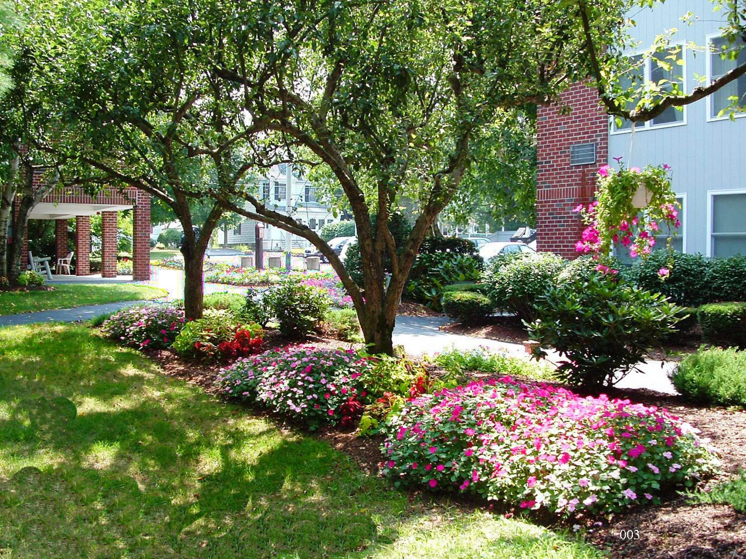 Grounds 2006 003 copy.jpg