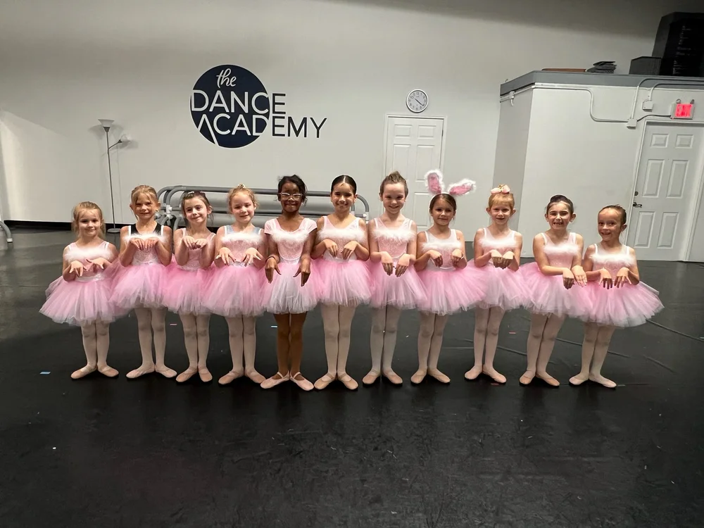 The Dance Academy